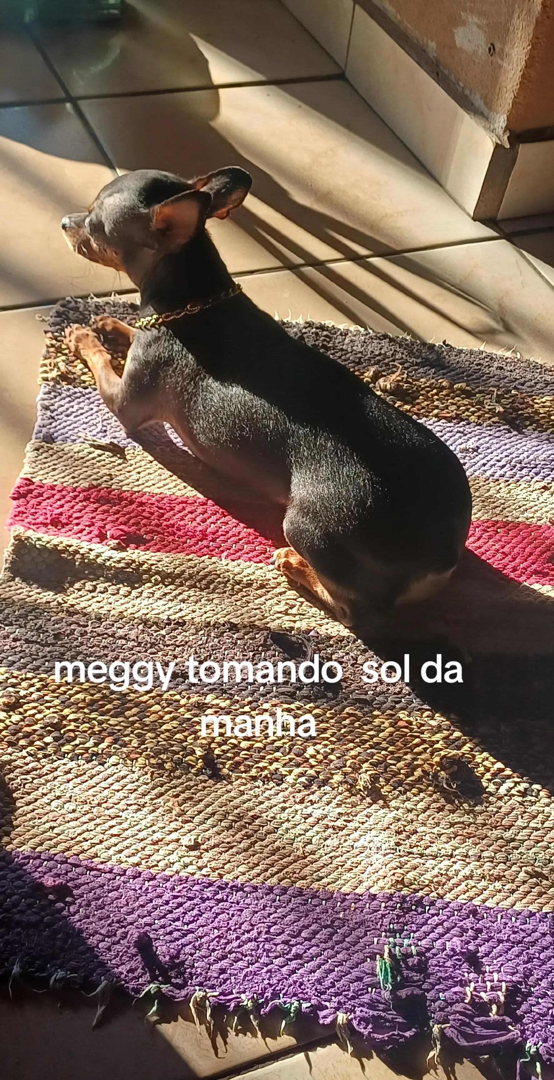 @Quesla da silva