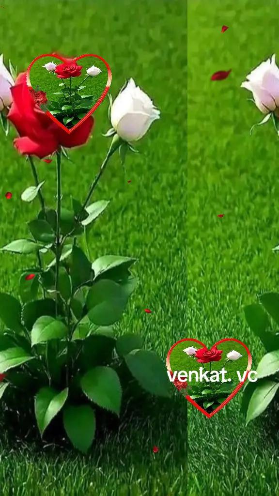 @Venkat Venkatesh