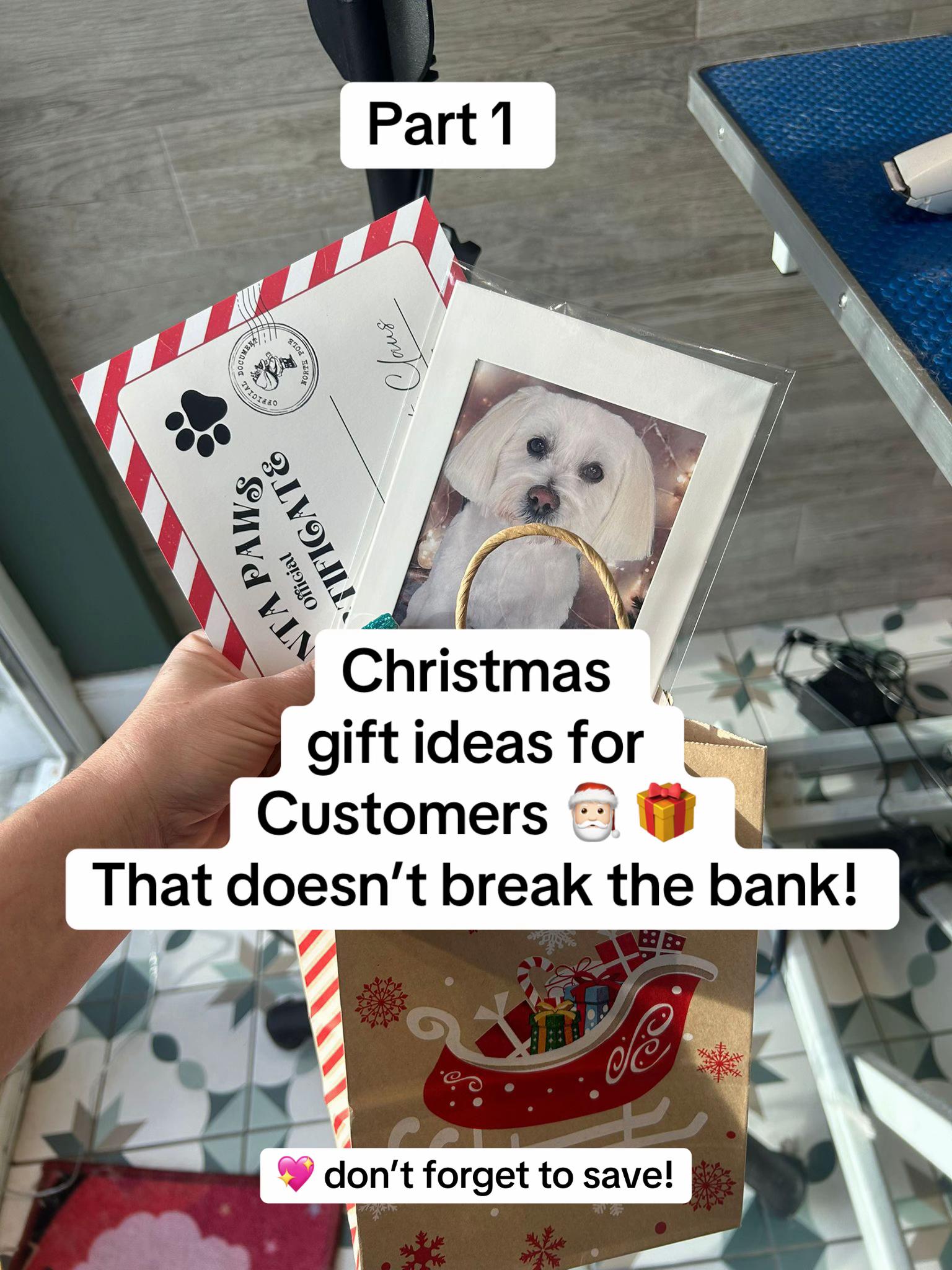 @Pawfect By Abbie