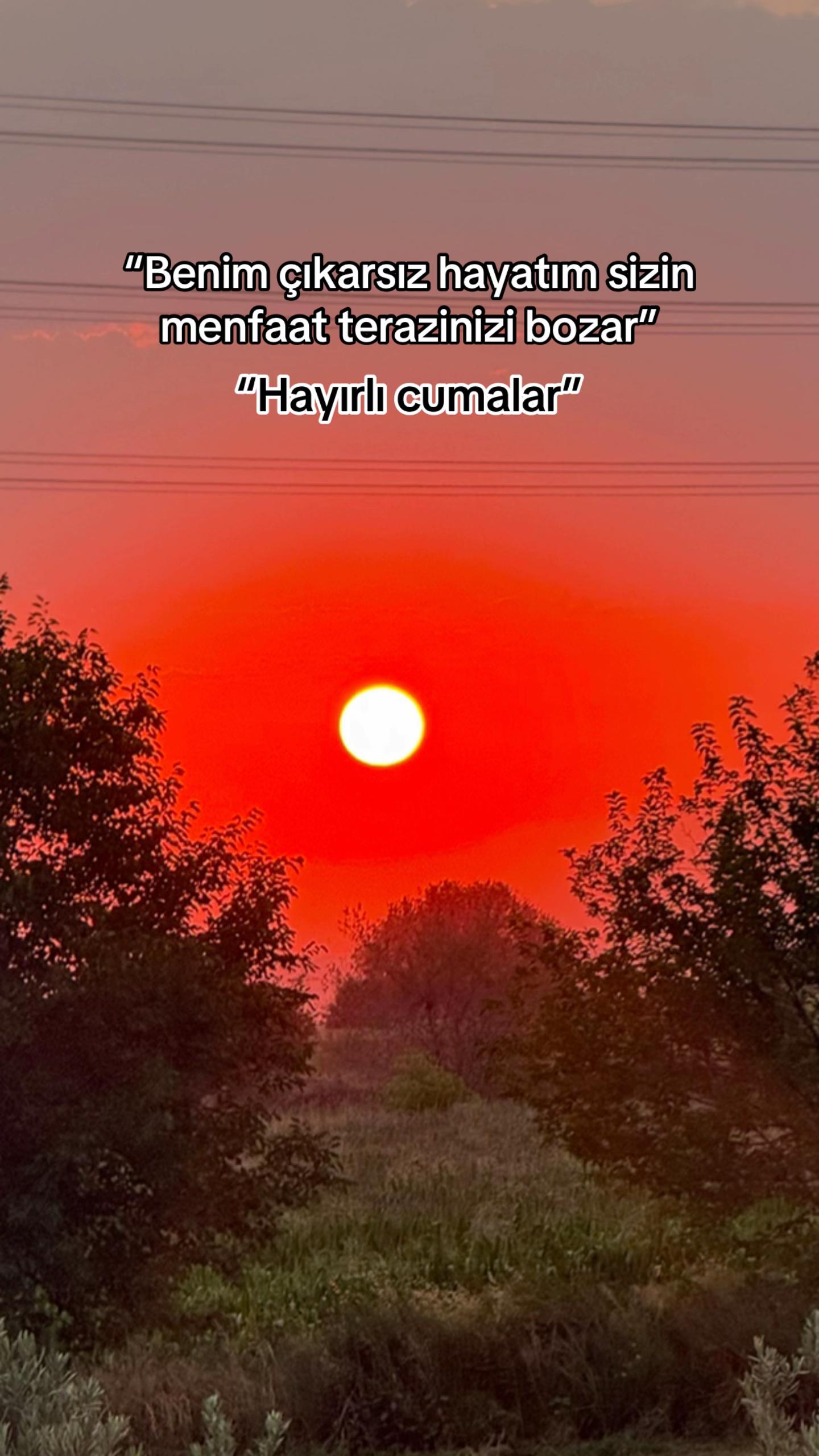 @sibel