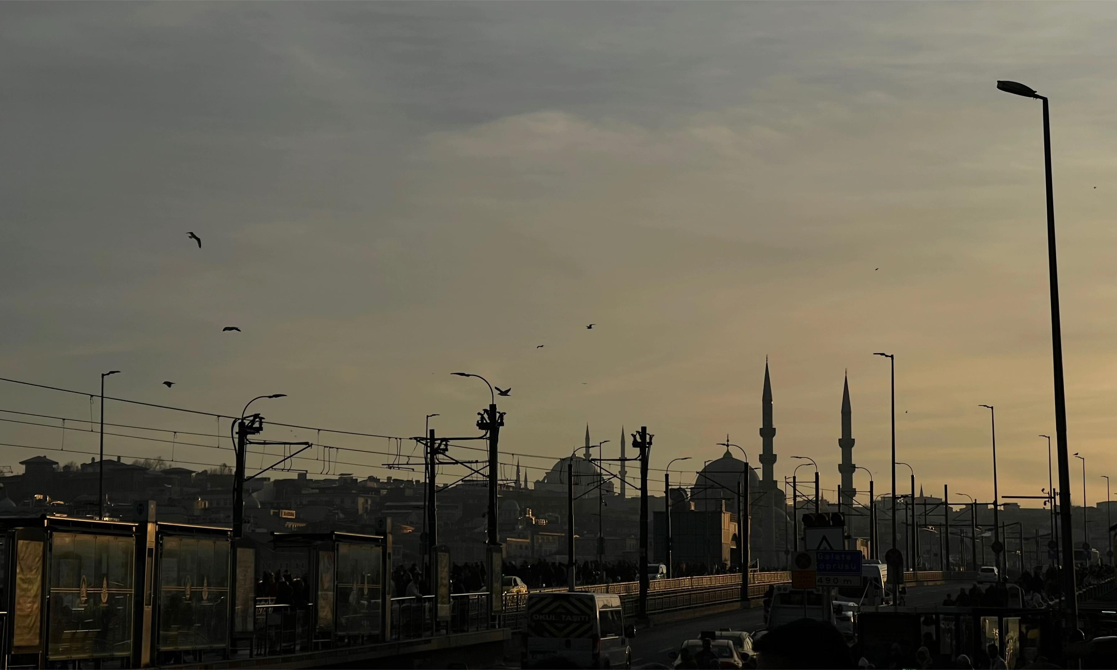@Senem Canoğlu
