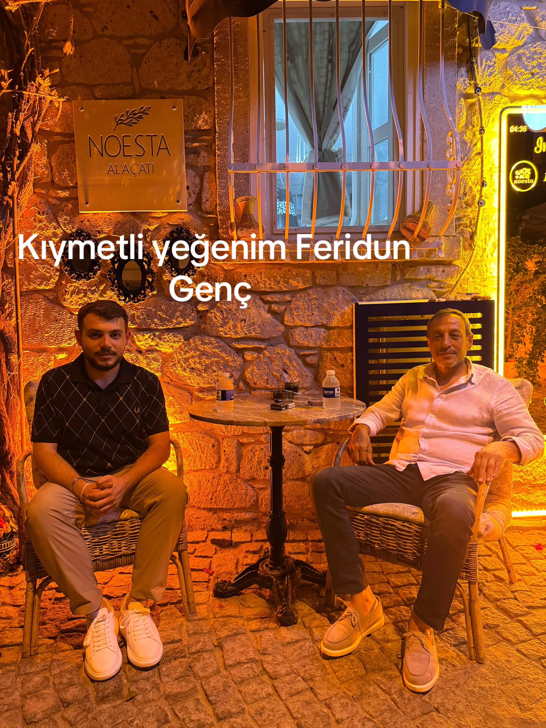 @Feridun Tekinalp