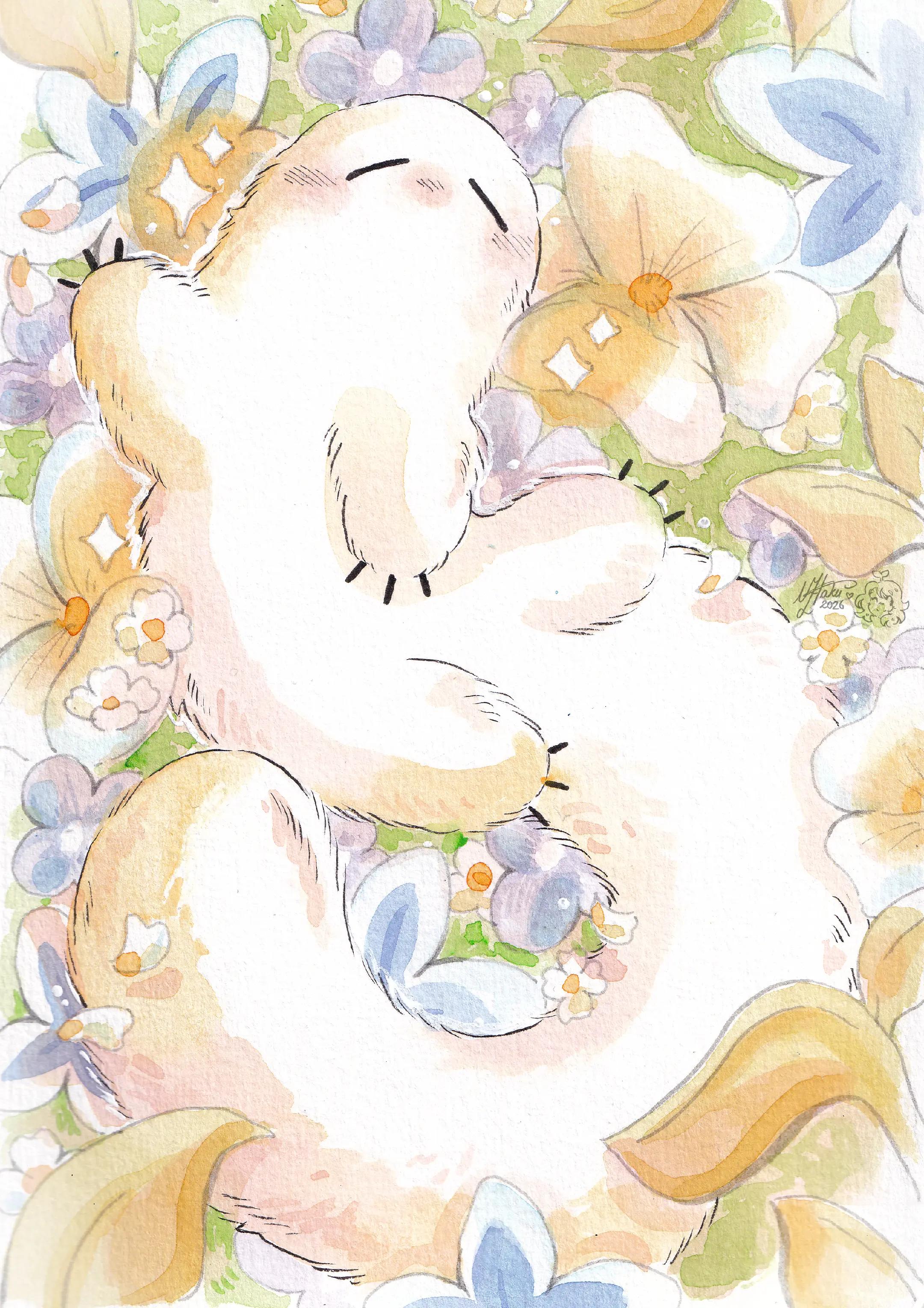 @ʕ &bull;ᴥ&bull;ʔゝ☆ Nat!