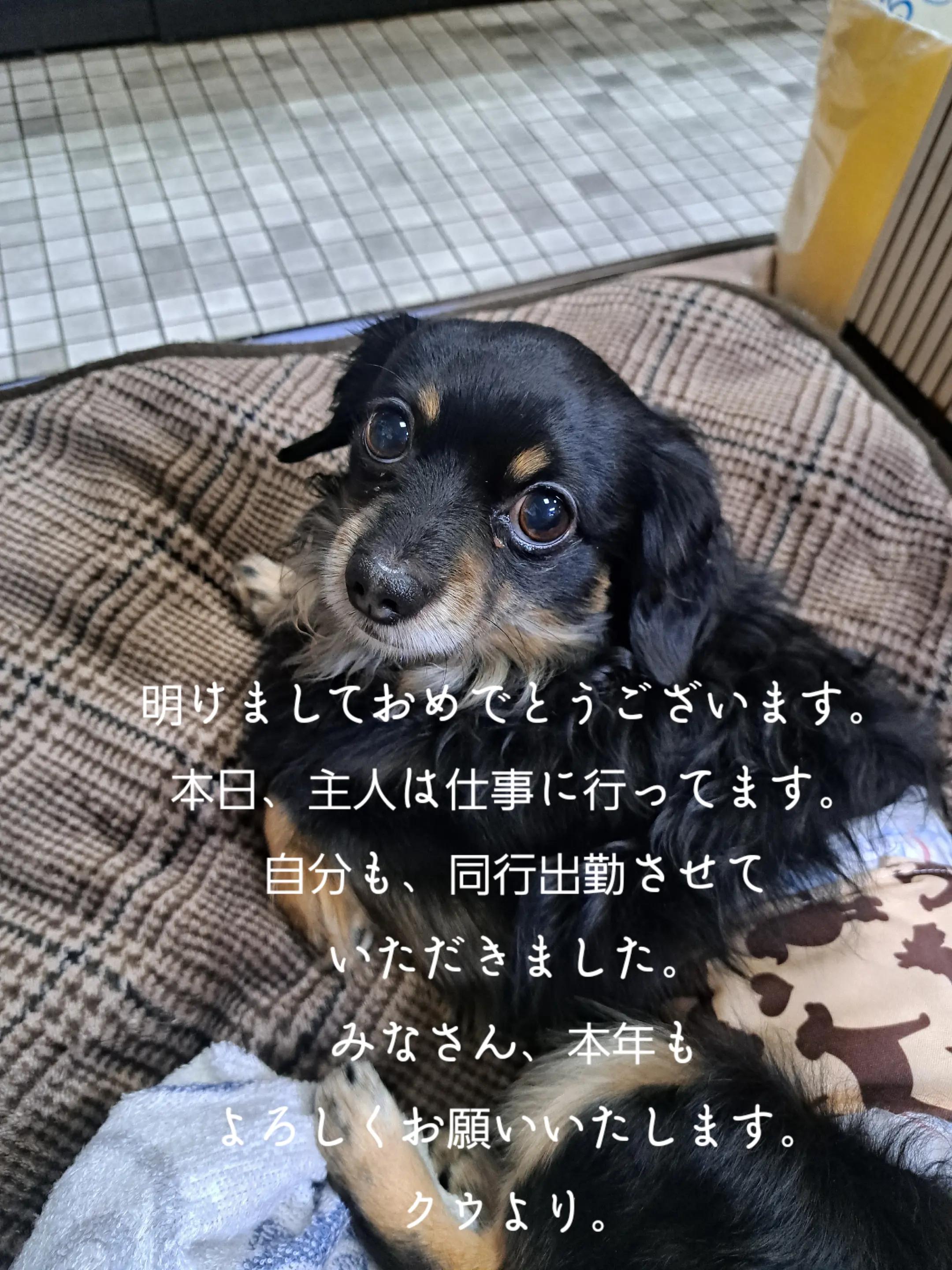 @タケヤッコ