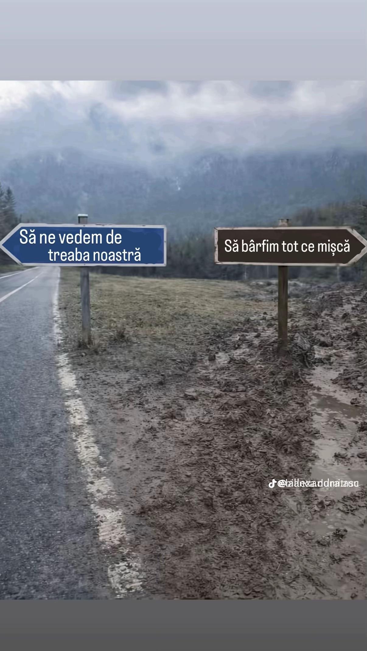 @oana.
