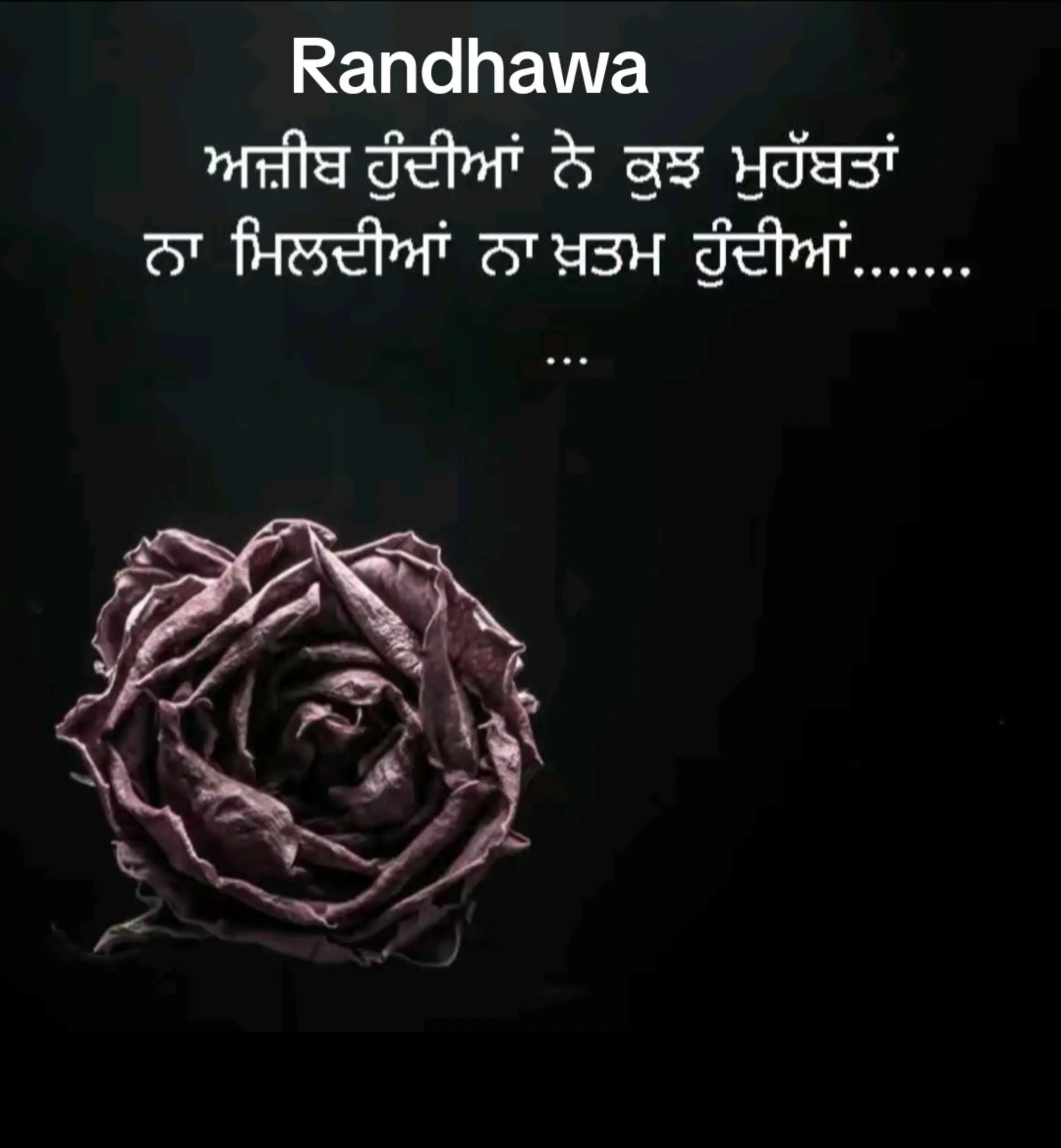 @preet
