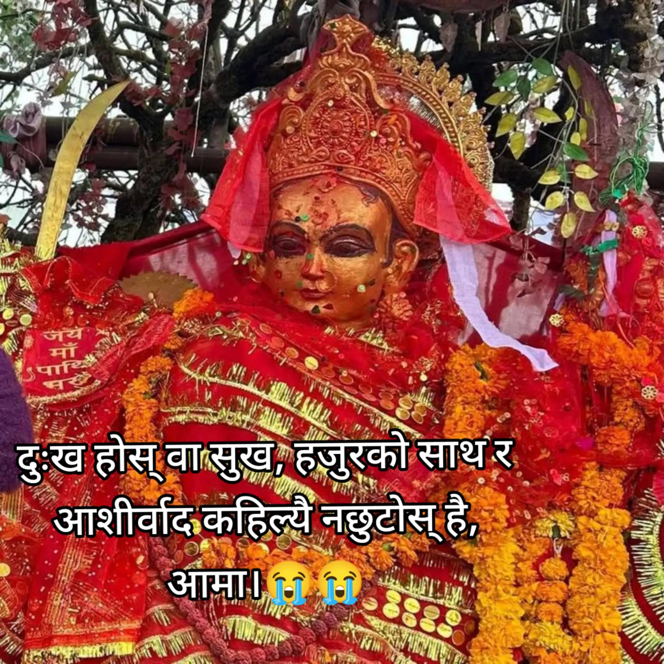 @Radhika Bhandari🇳🇵🇳🇵🦋🦋