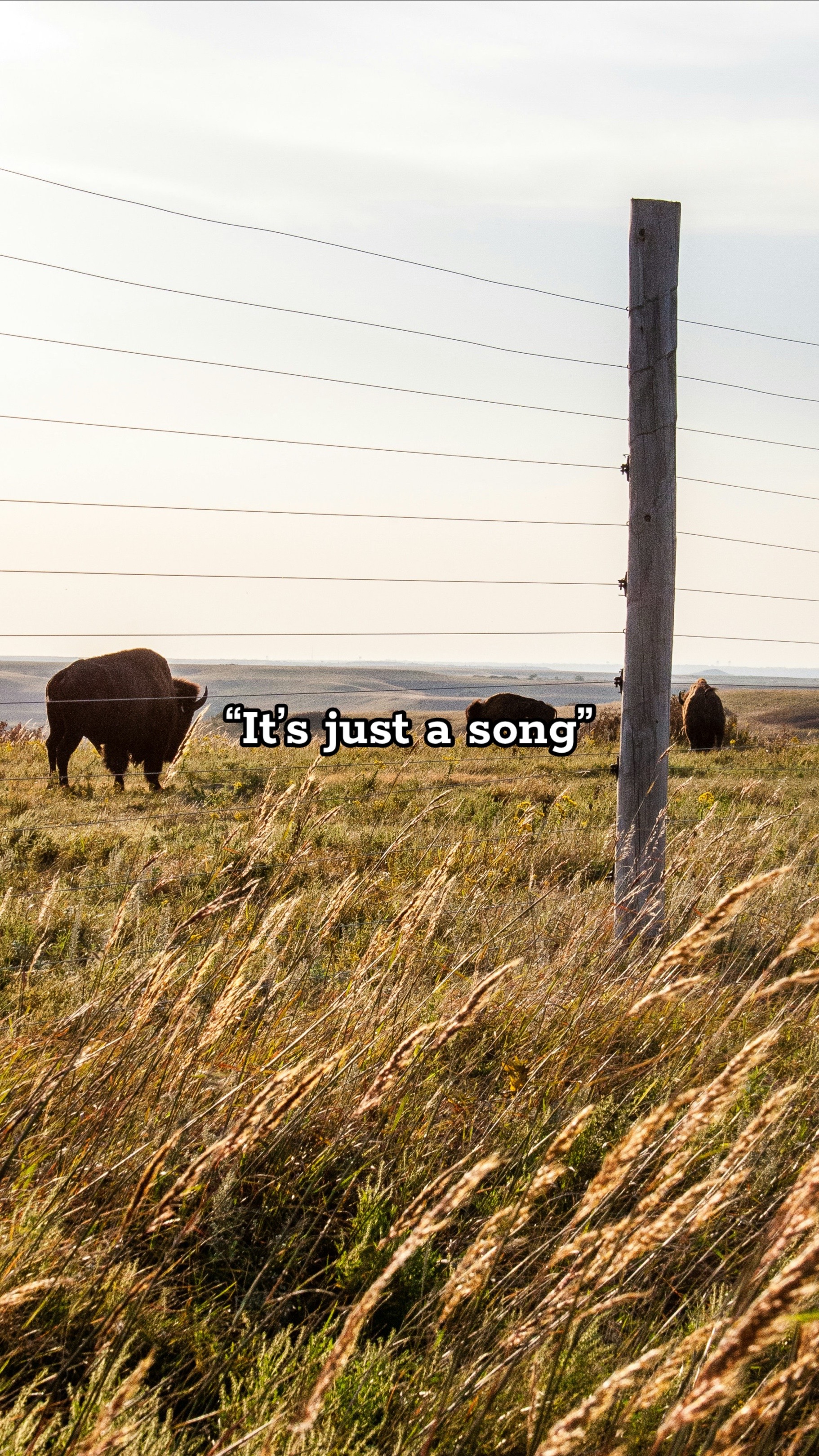 @Sad Cowboy Music