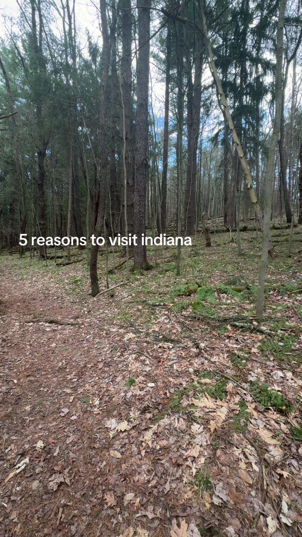 @hi