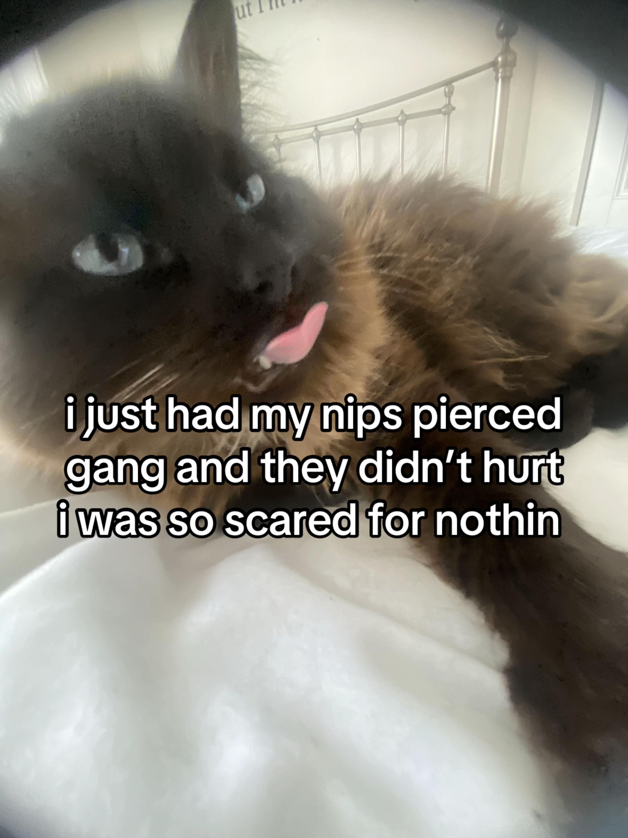 @🕷️༒𝕹𝖔𝖊𝖑𝖑𝖊༒🕷️