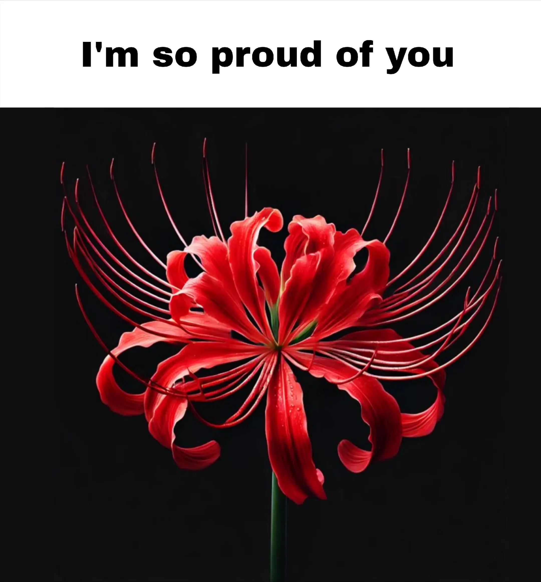 @๐๐ค๐๐ง๐จ