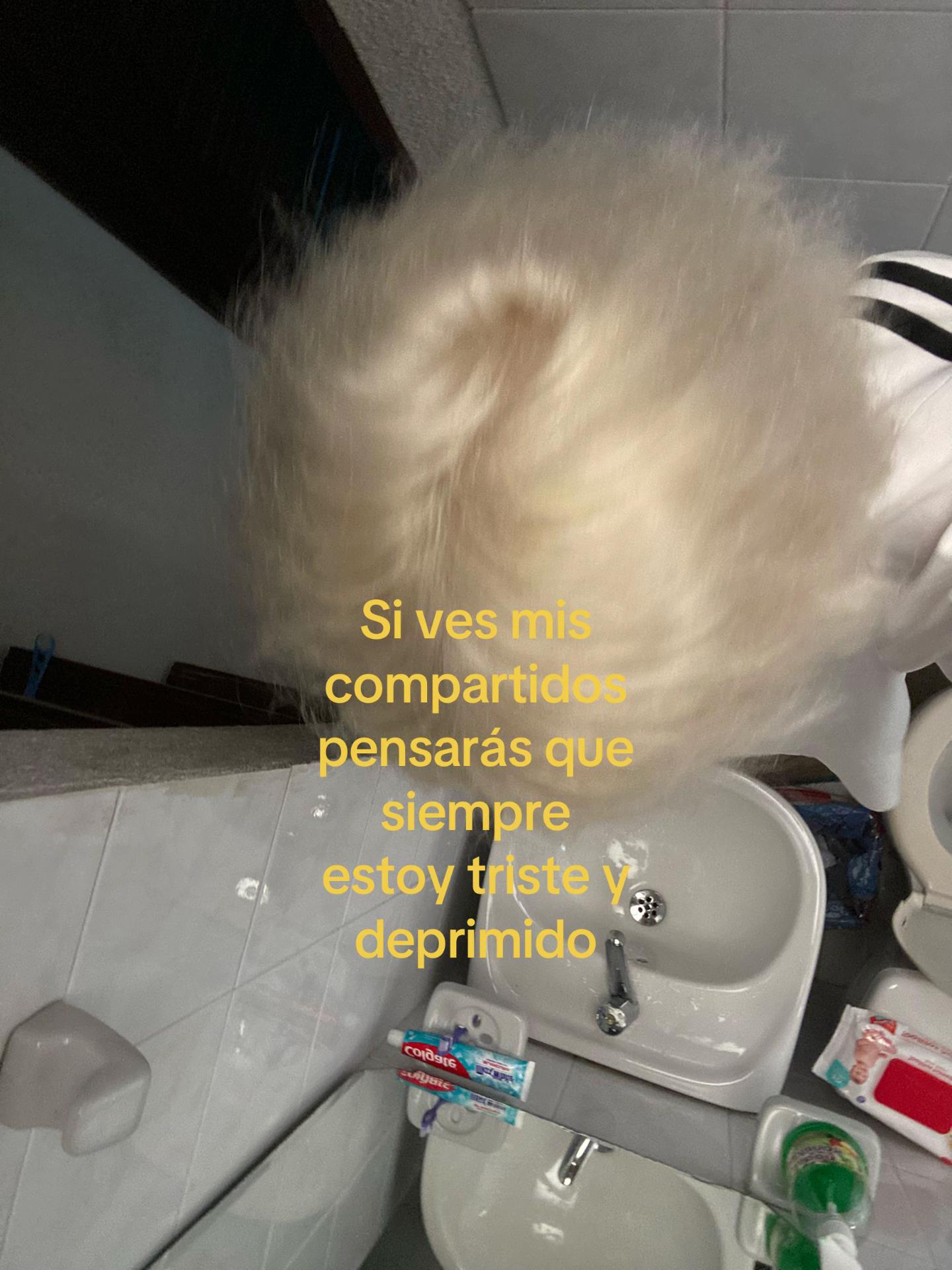 @marinhxherwin
