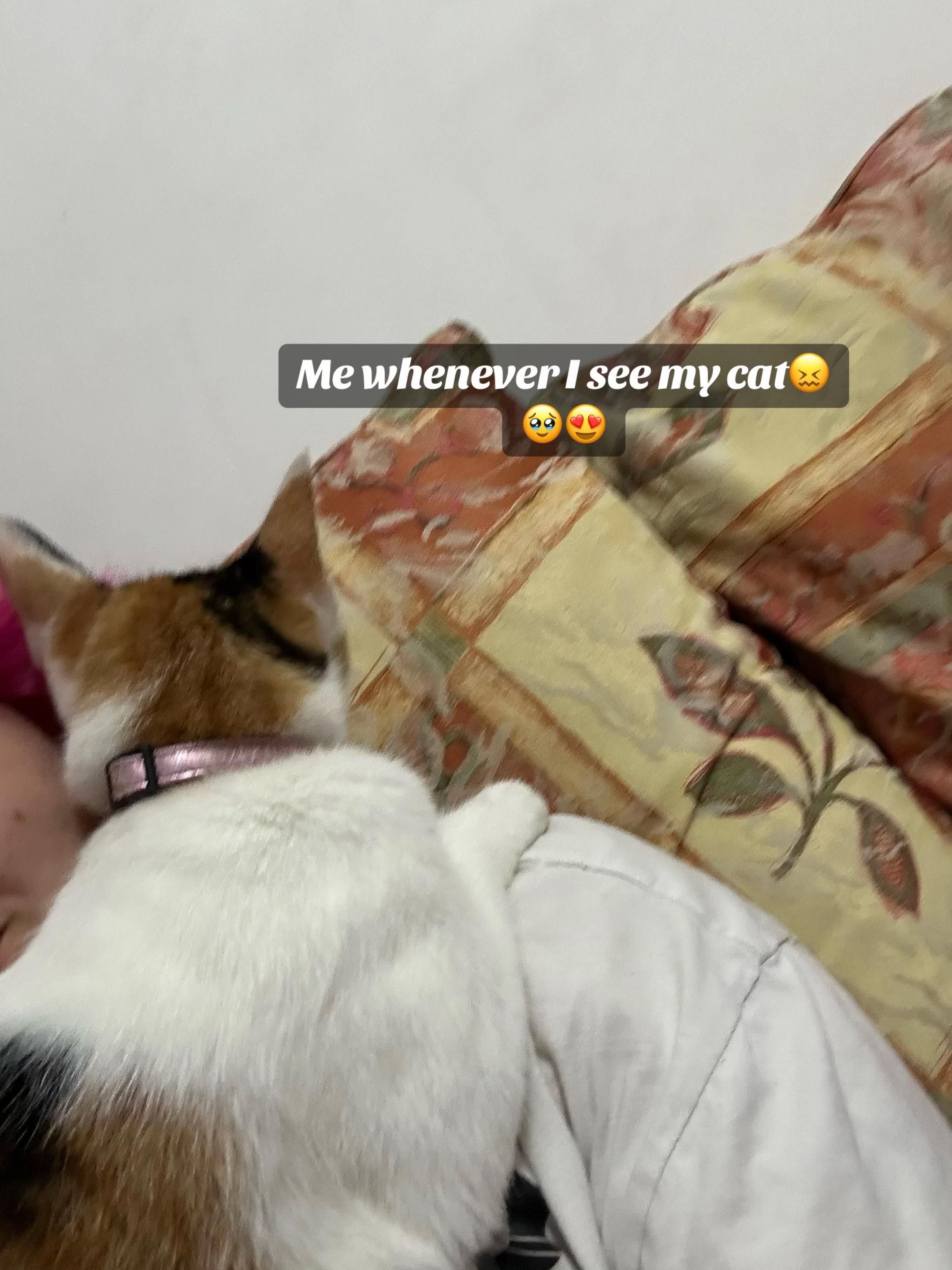 @Jenny 🦇🕷️