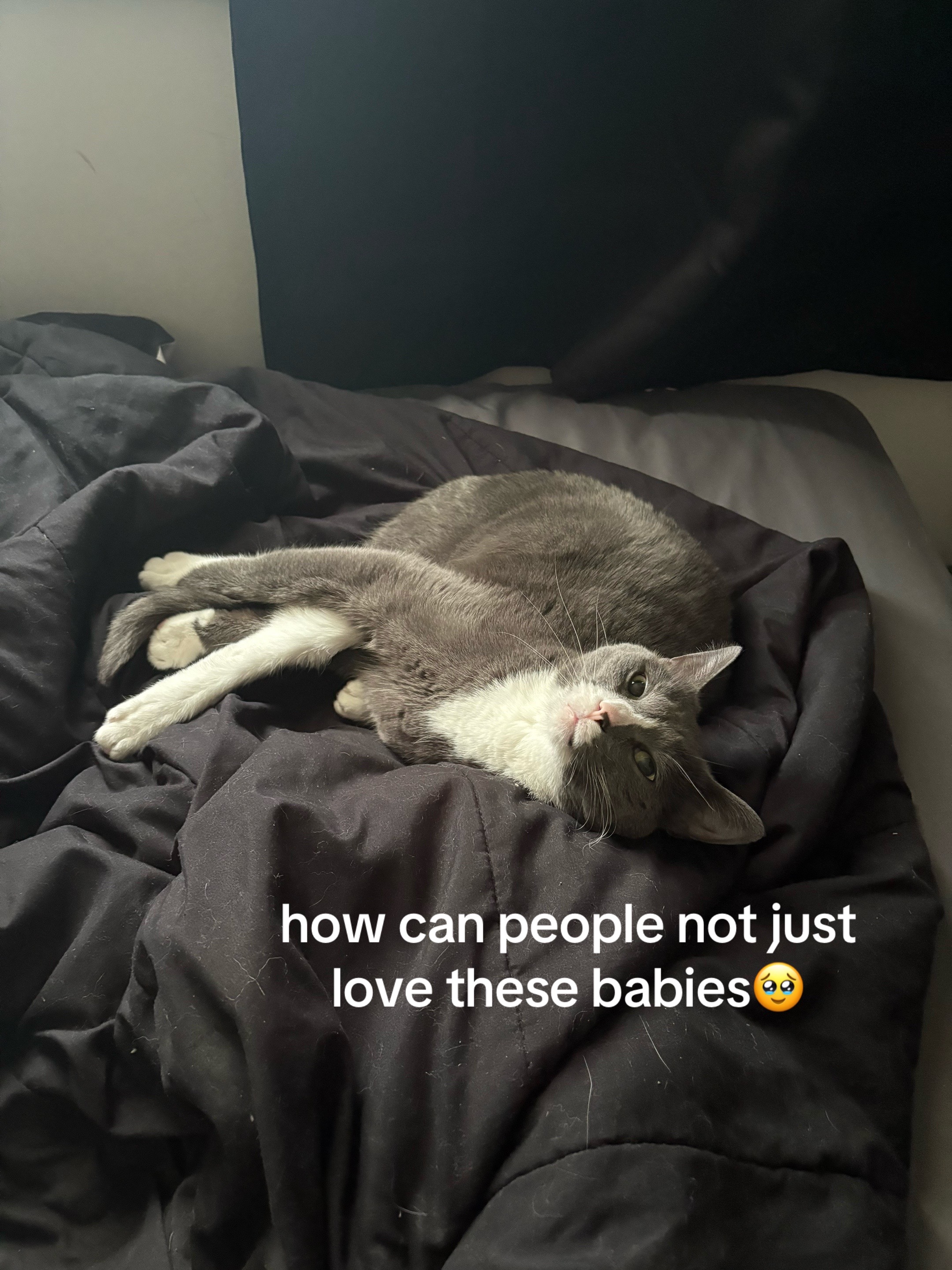 @maryyy🍄🧚🌙🐈⬛