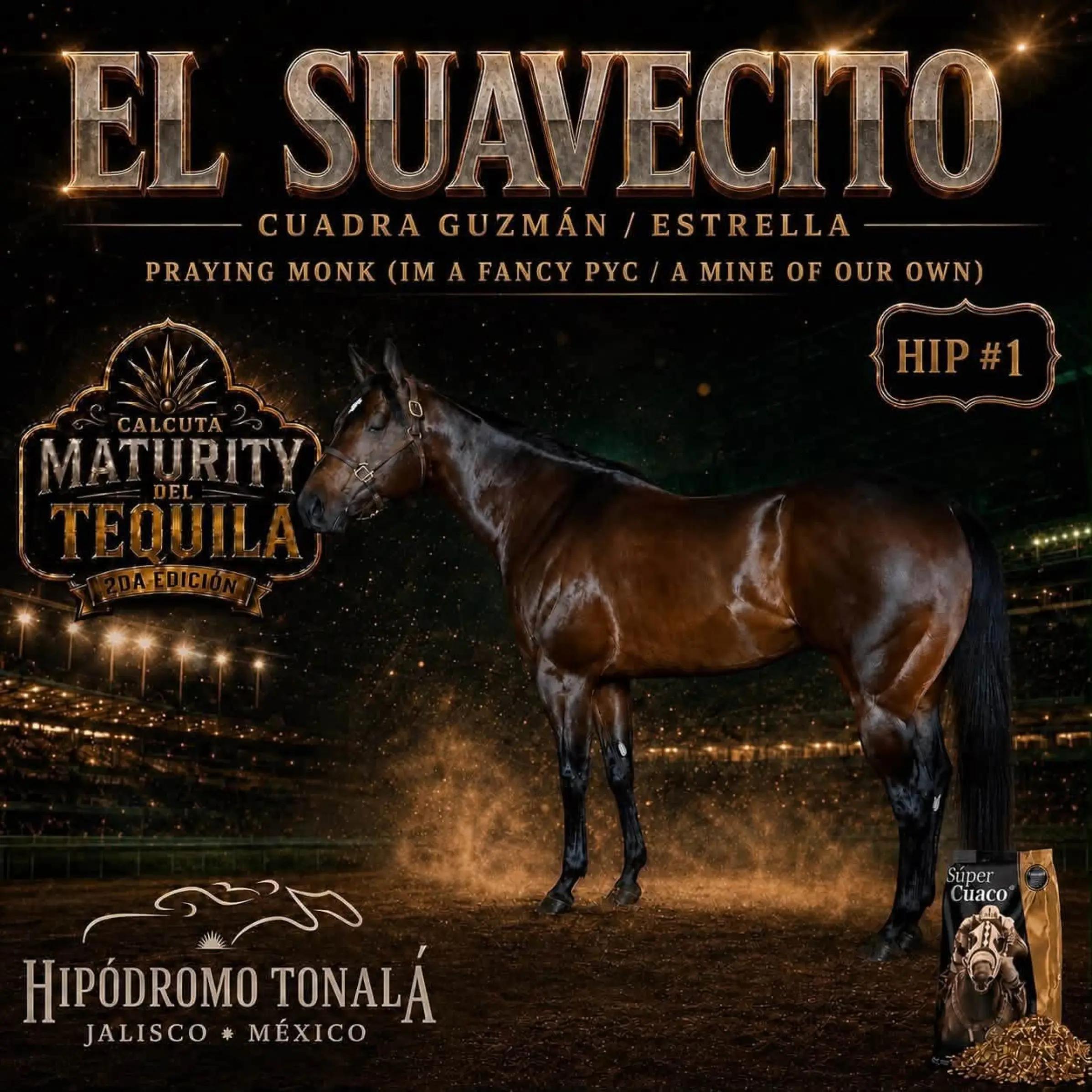 @carriles altos de jalisco🐎