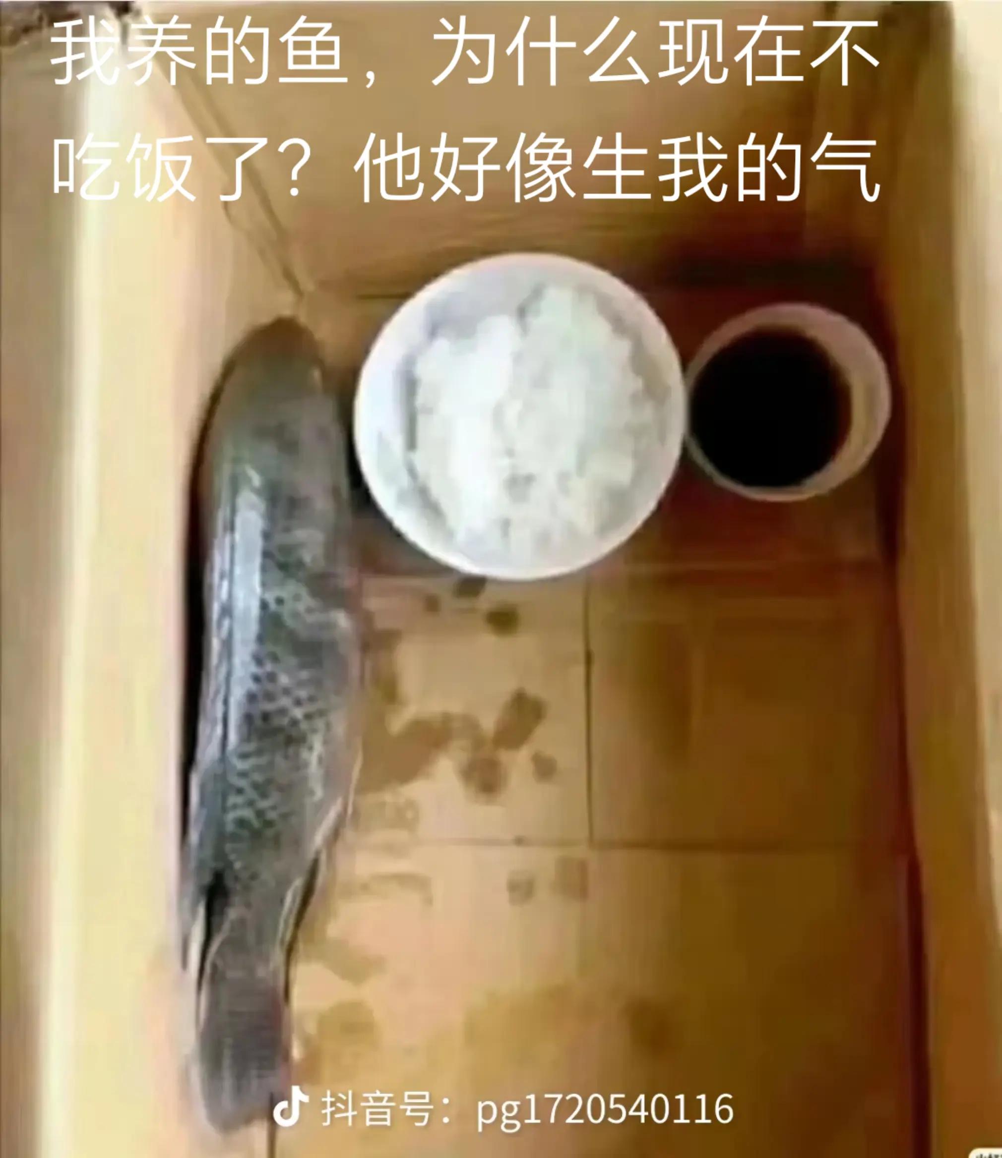 @爱块