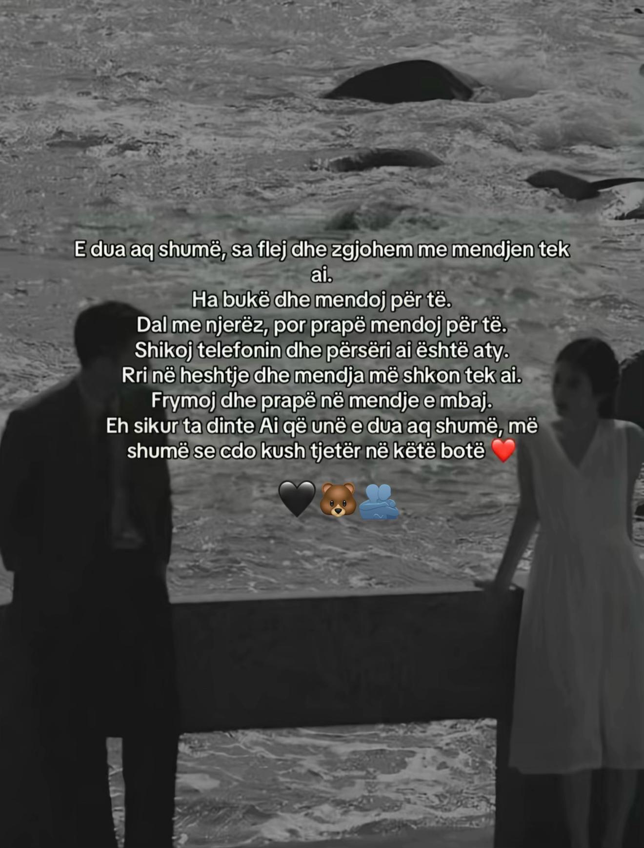 @🧸 🖤🐻