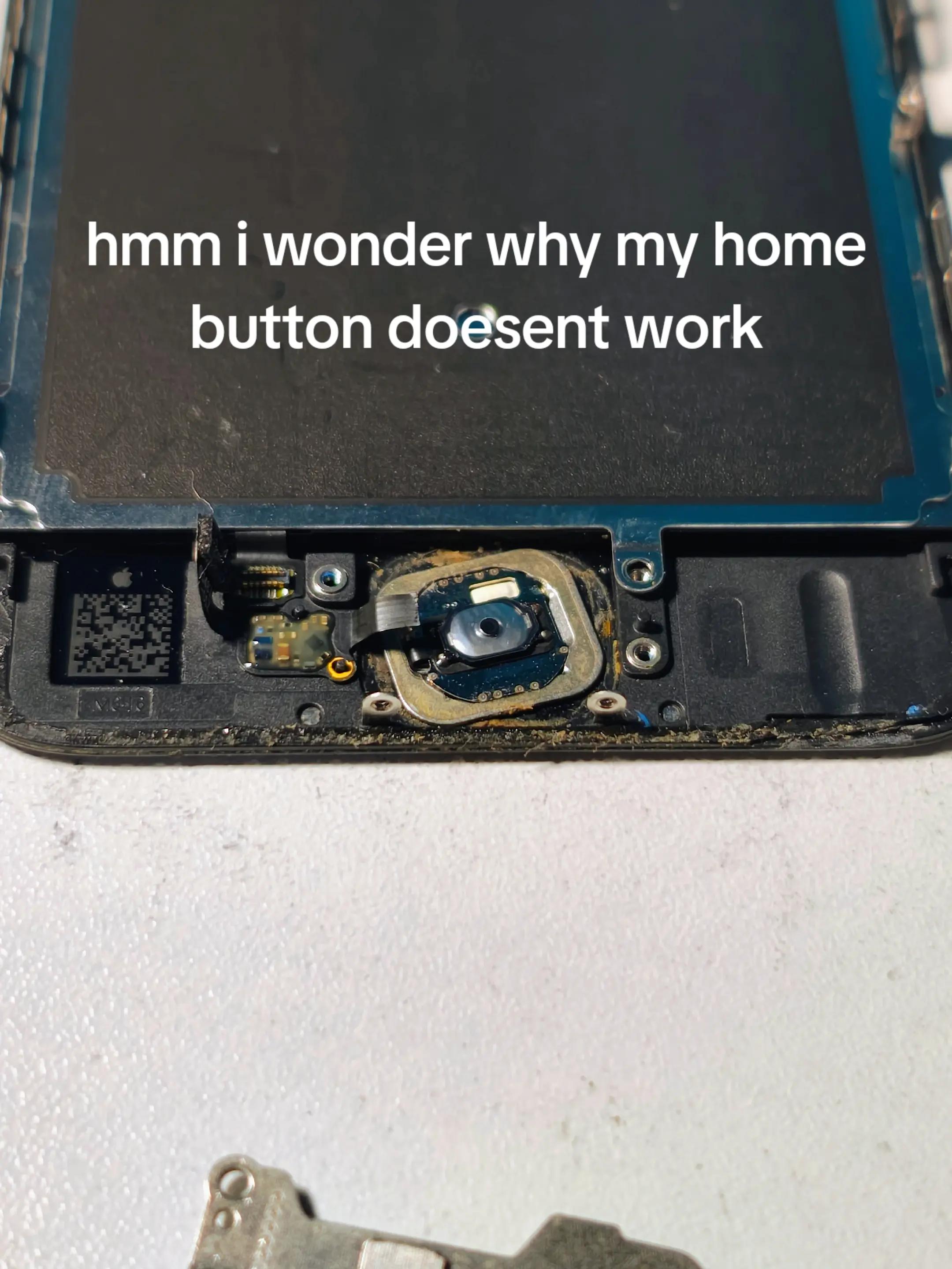 @CrazyIans