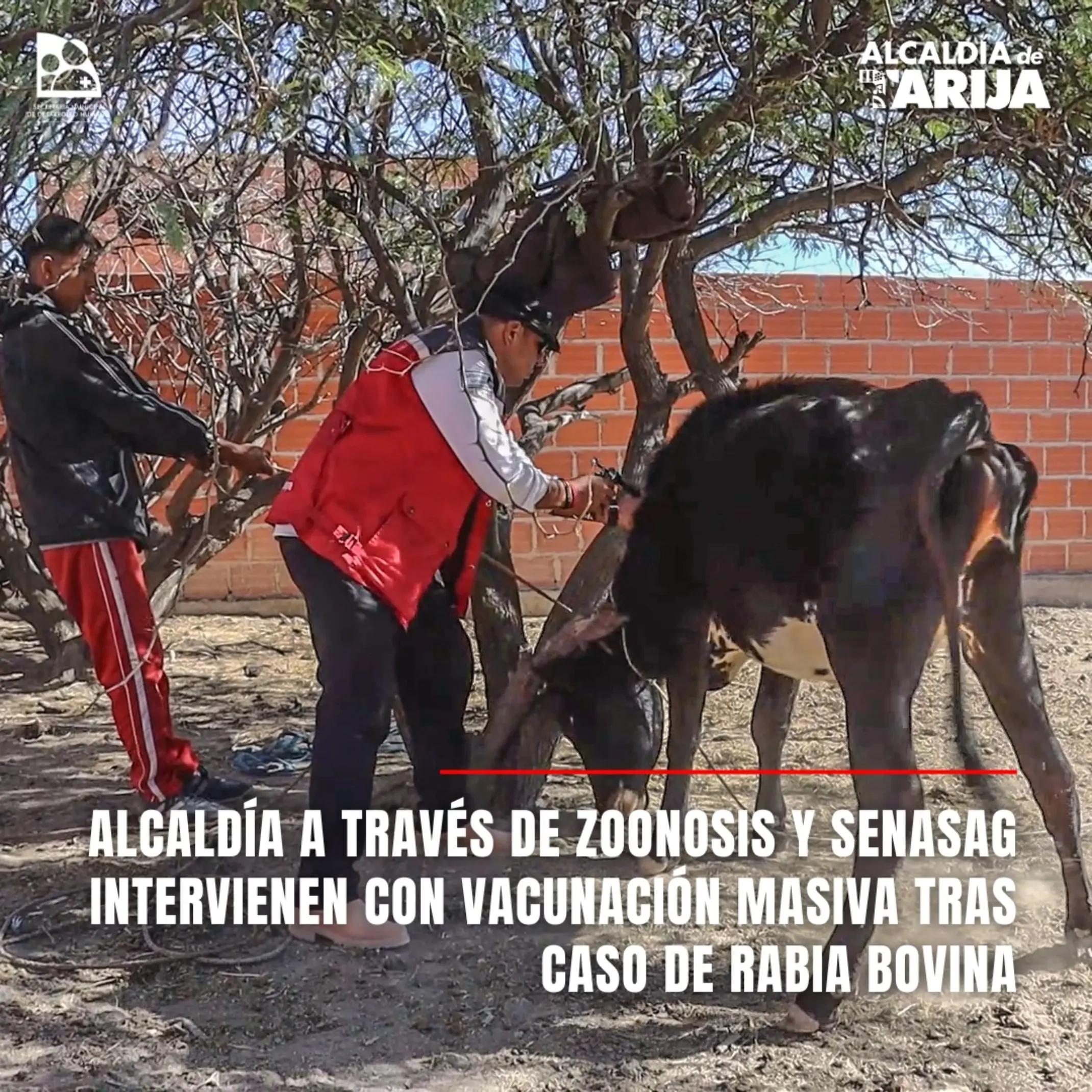 @Sec.Desarrollo.Humano.Tarija