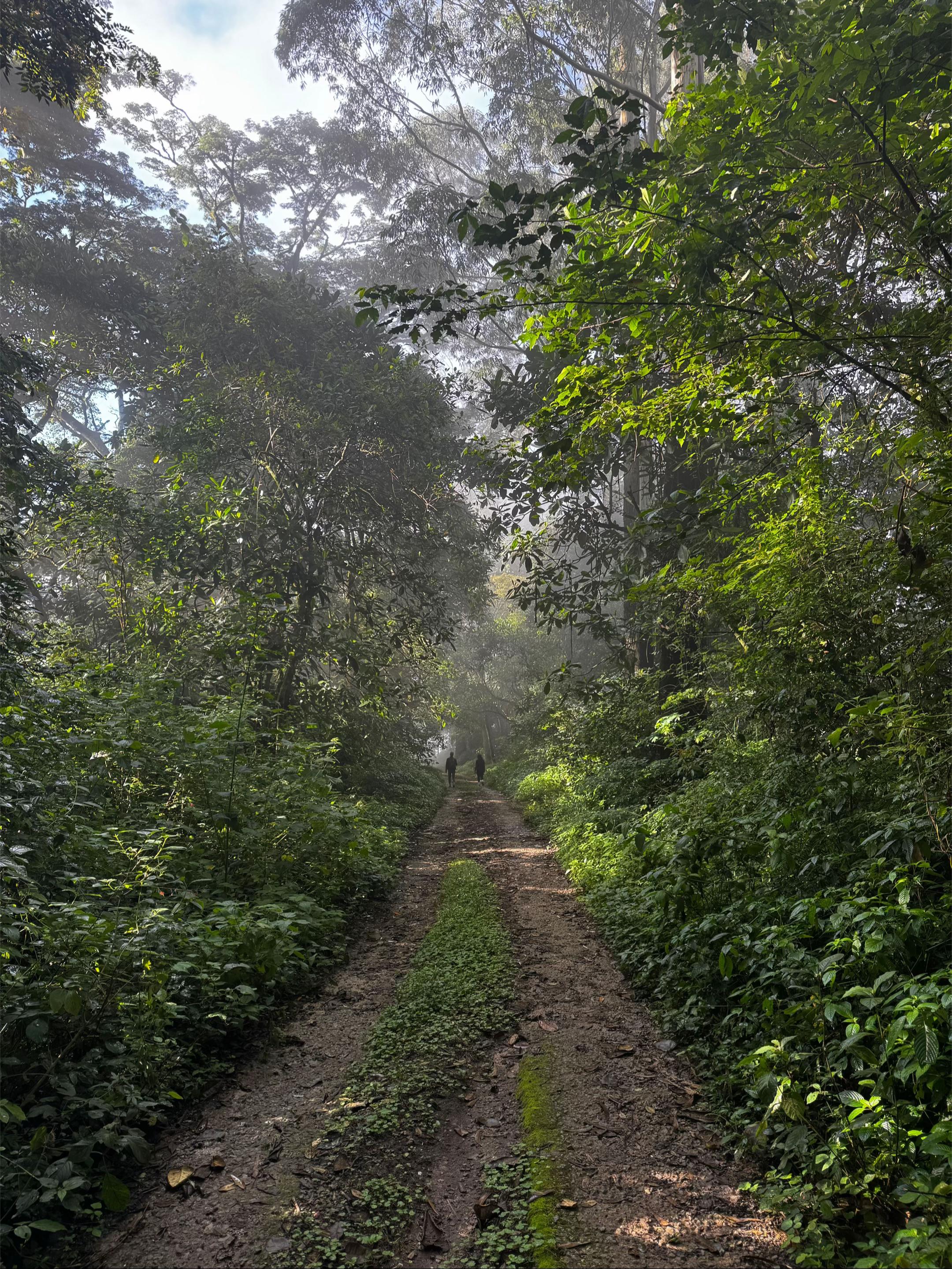 @MwanikiAdventures