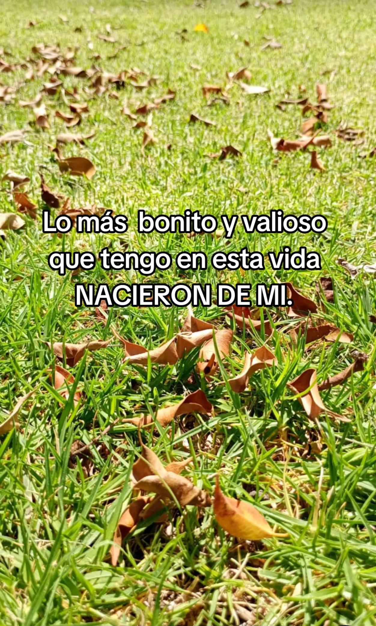 @⚘️Sam✨️