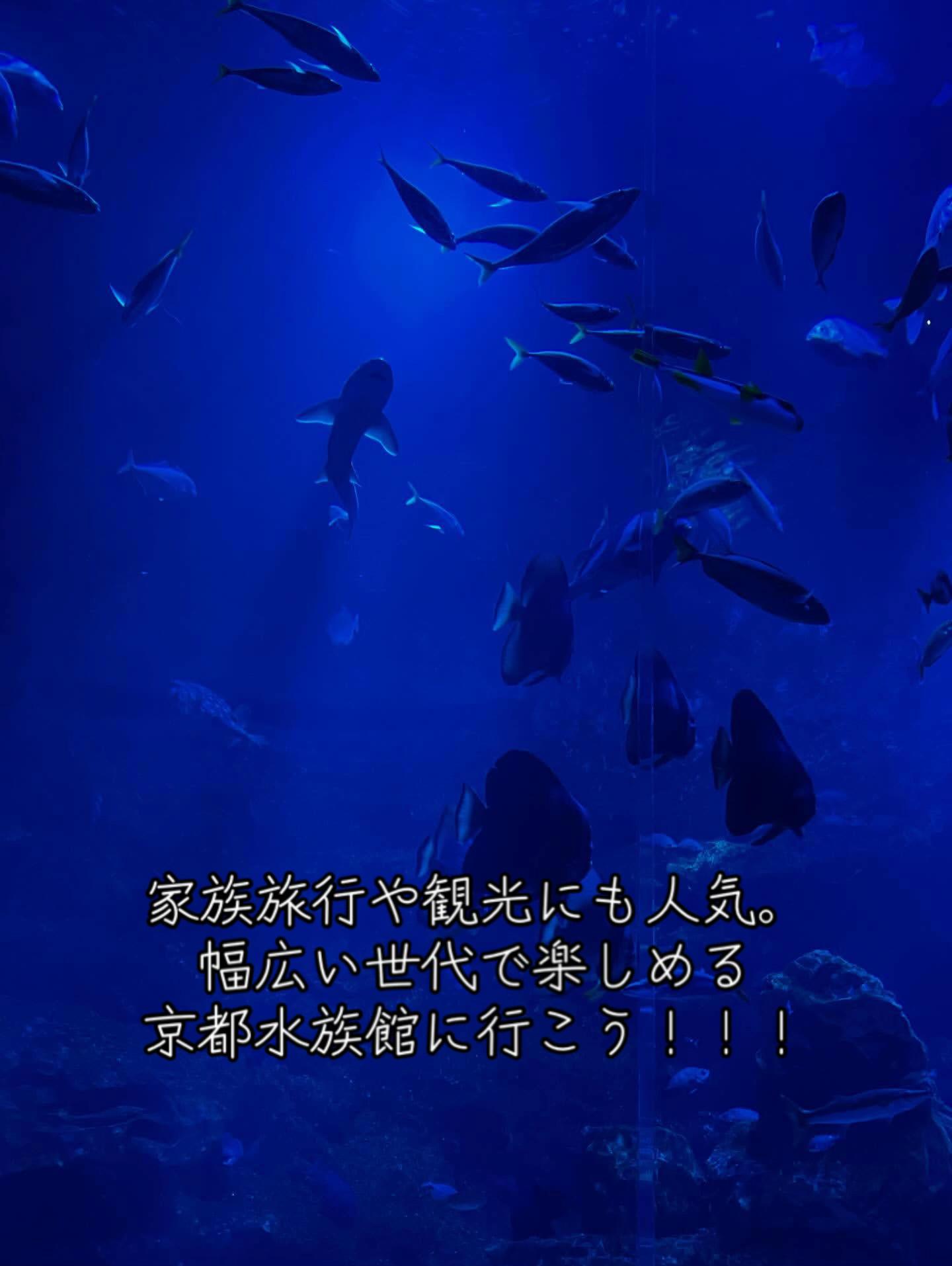 @闇夜の夜更かしバリトン