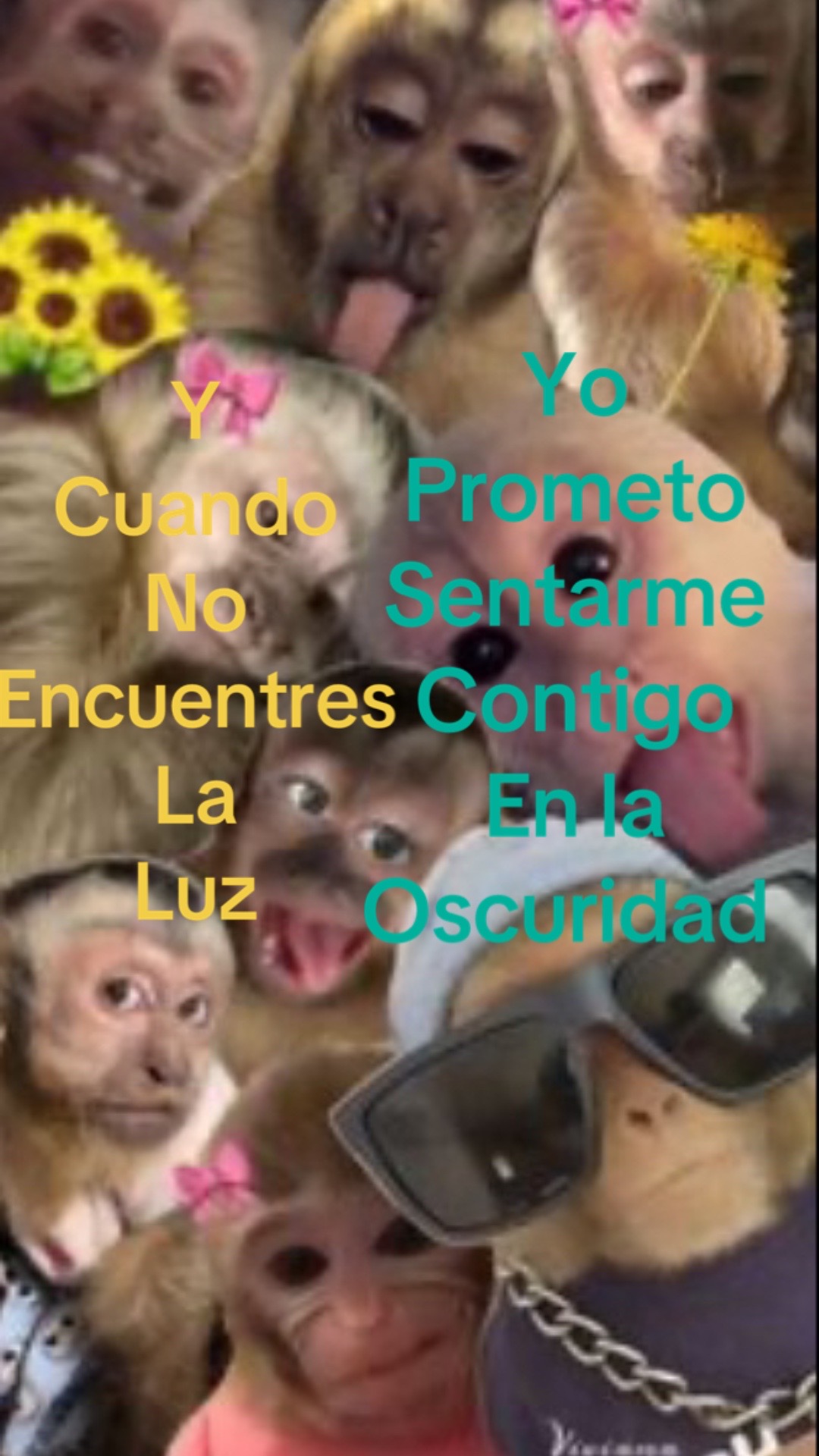 @🎧🩰🧋rebecookie
