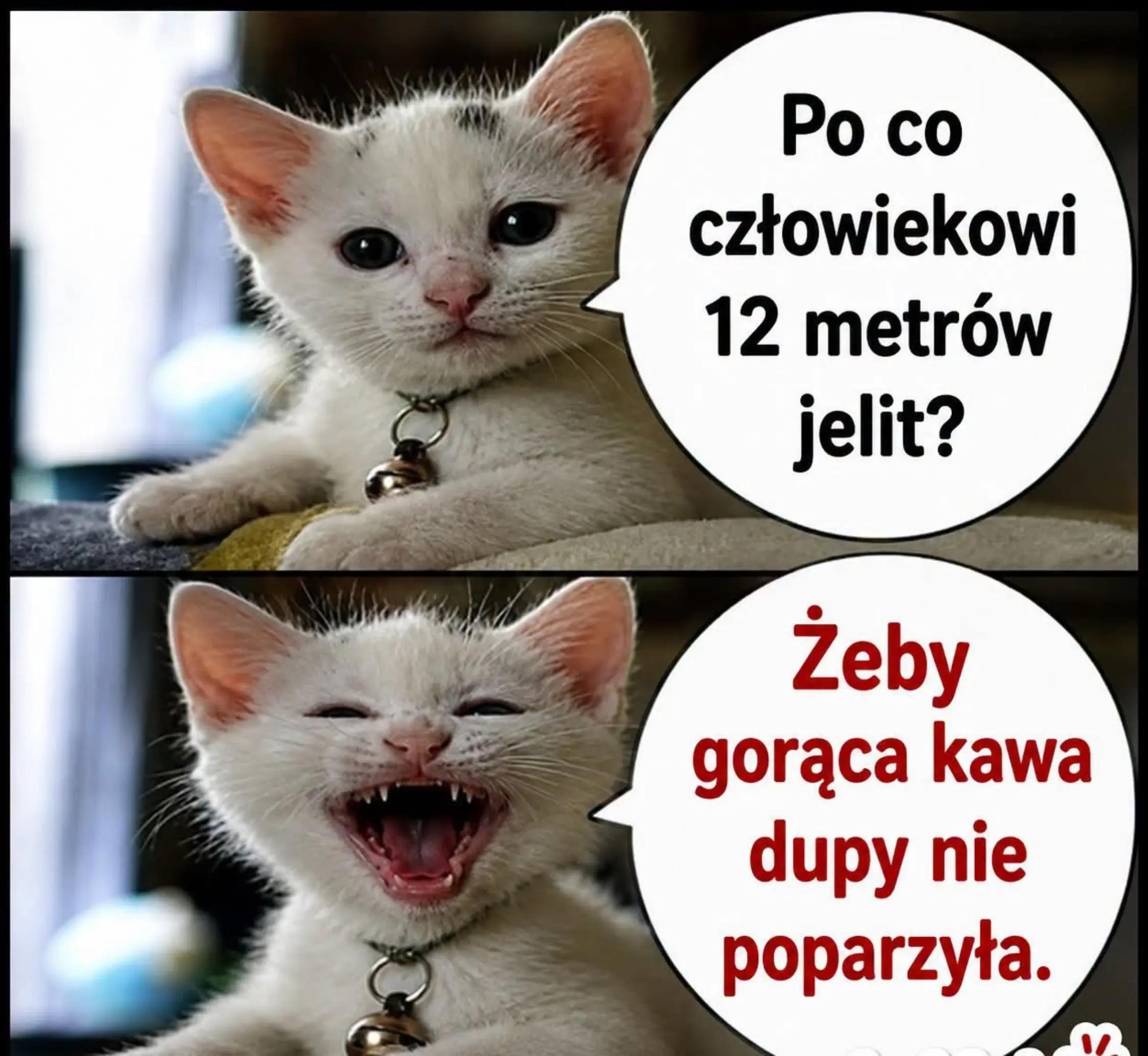 @Ur-szula2