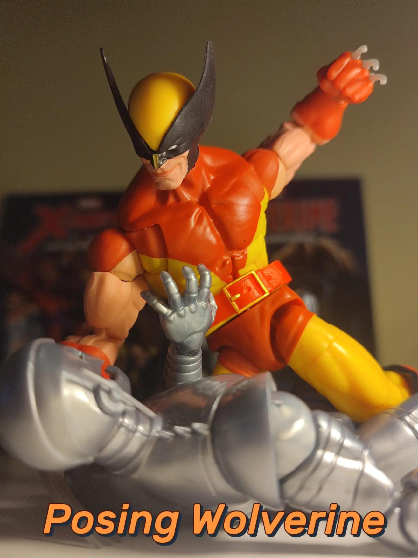 @Wolvie ⊗