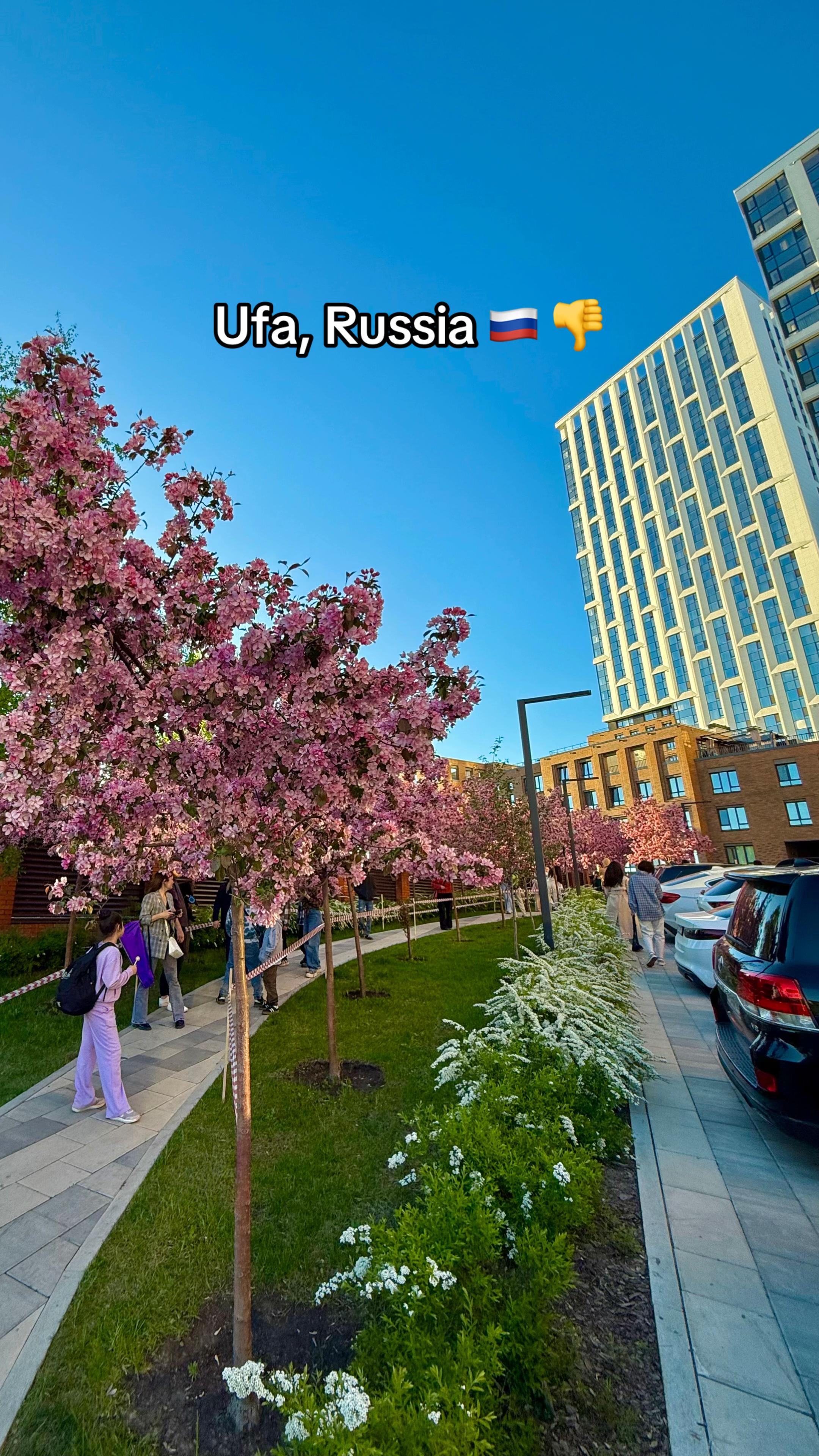 @Хуршед Нурматов hoorsh