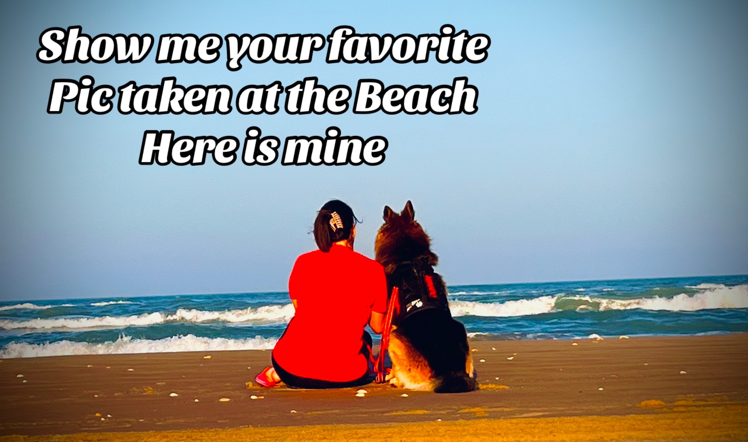 @Gunner GSD🐶