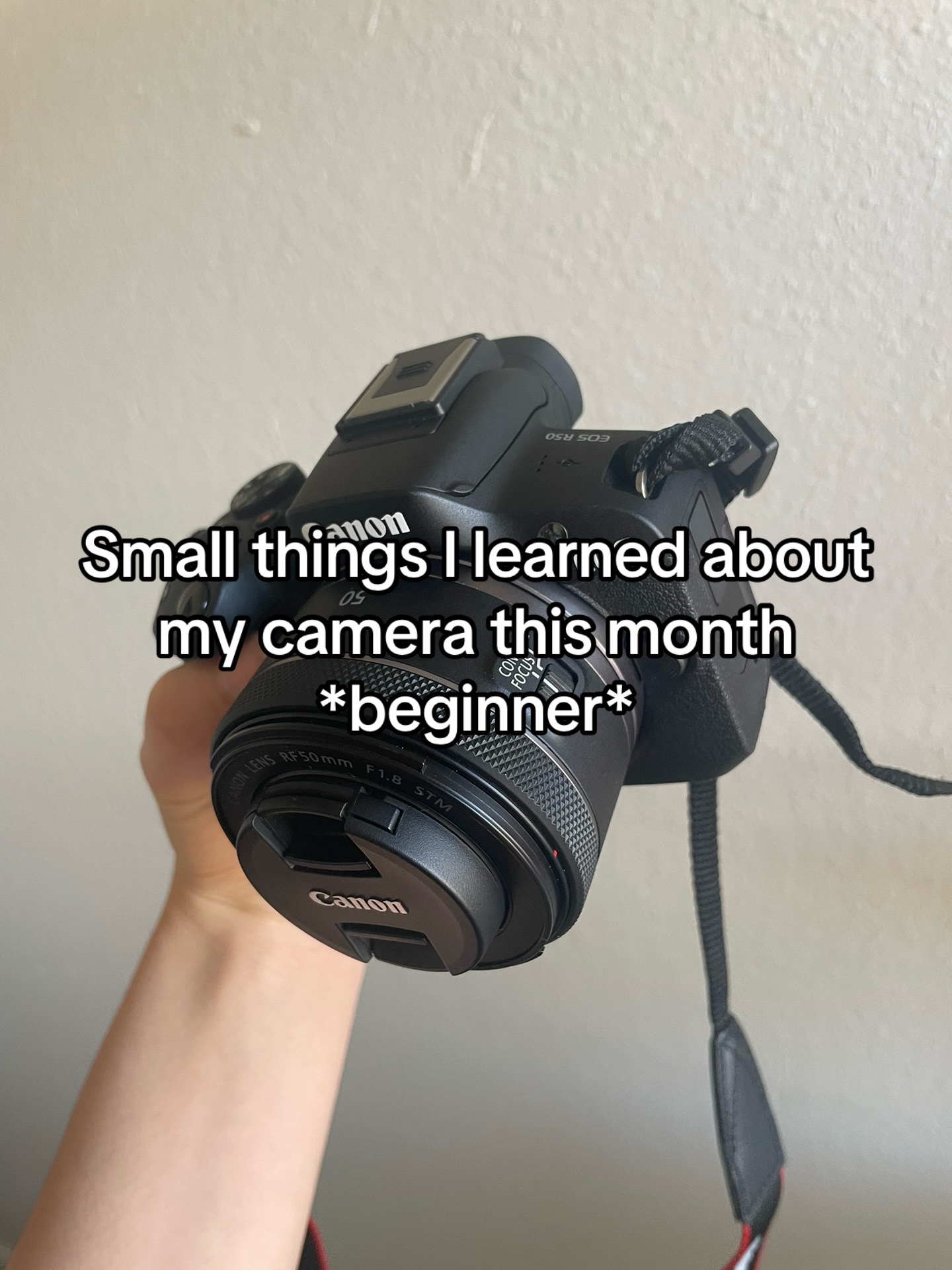 @Beginner Photog | Sophie