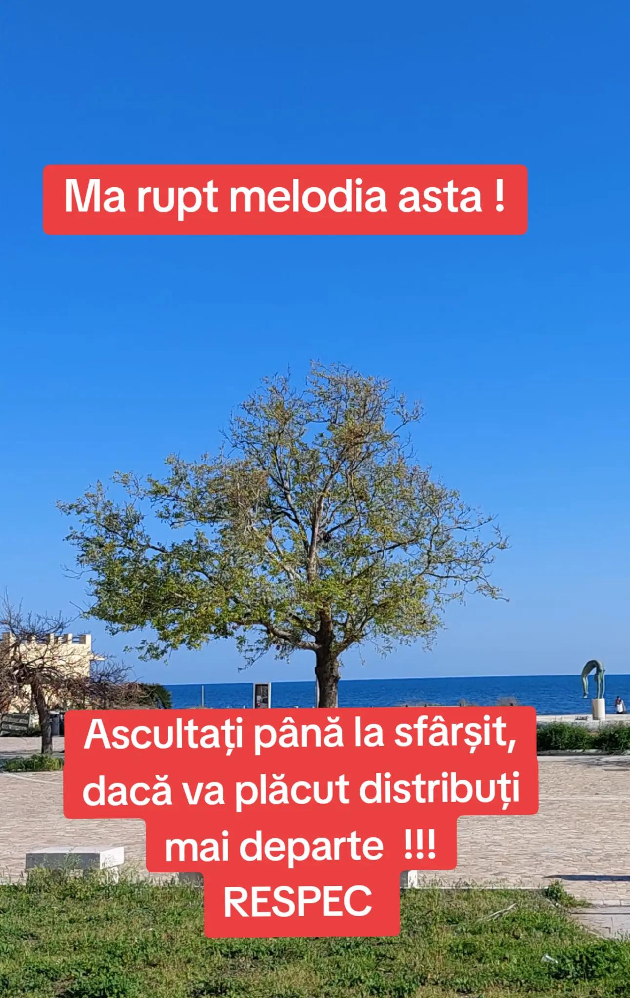 @Cristina Valentina