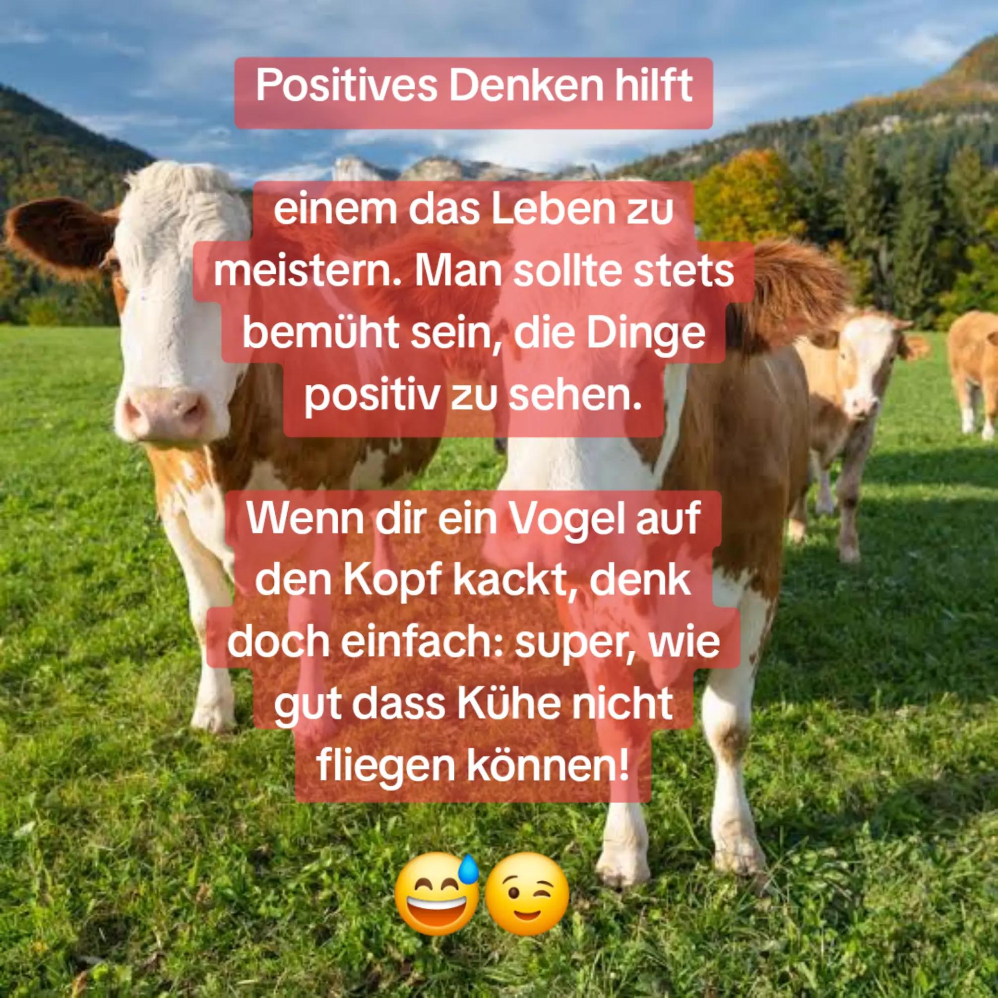 @Katinka