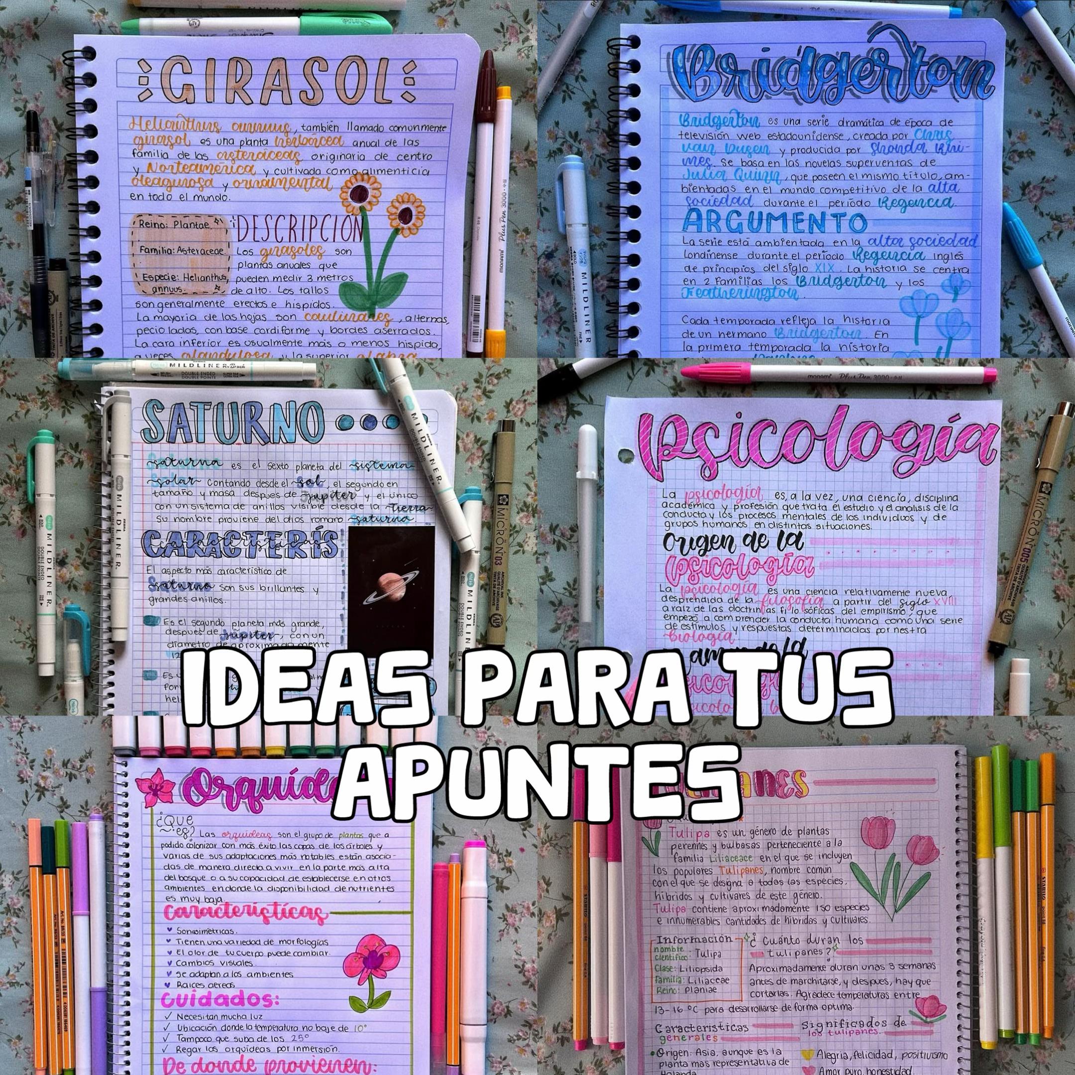 @Aprendamos Bonito