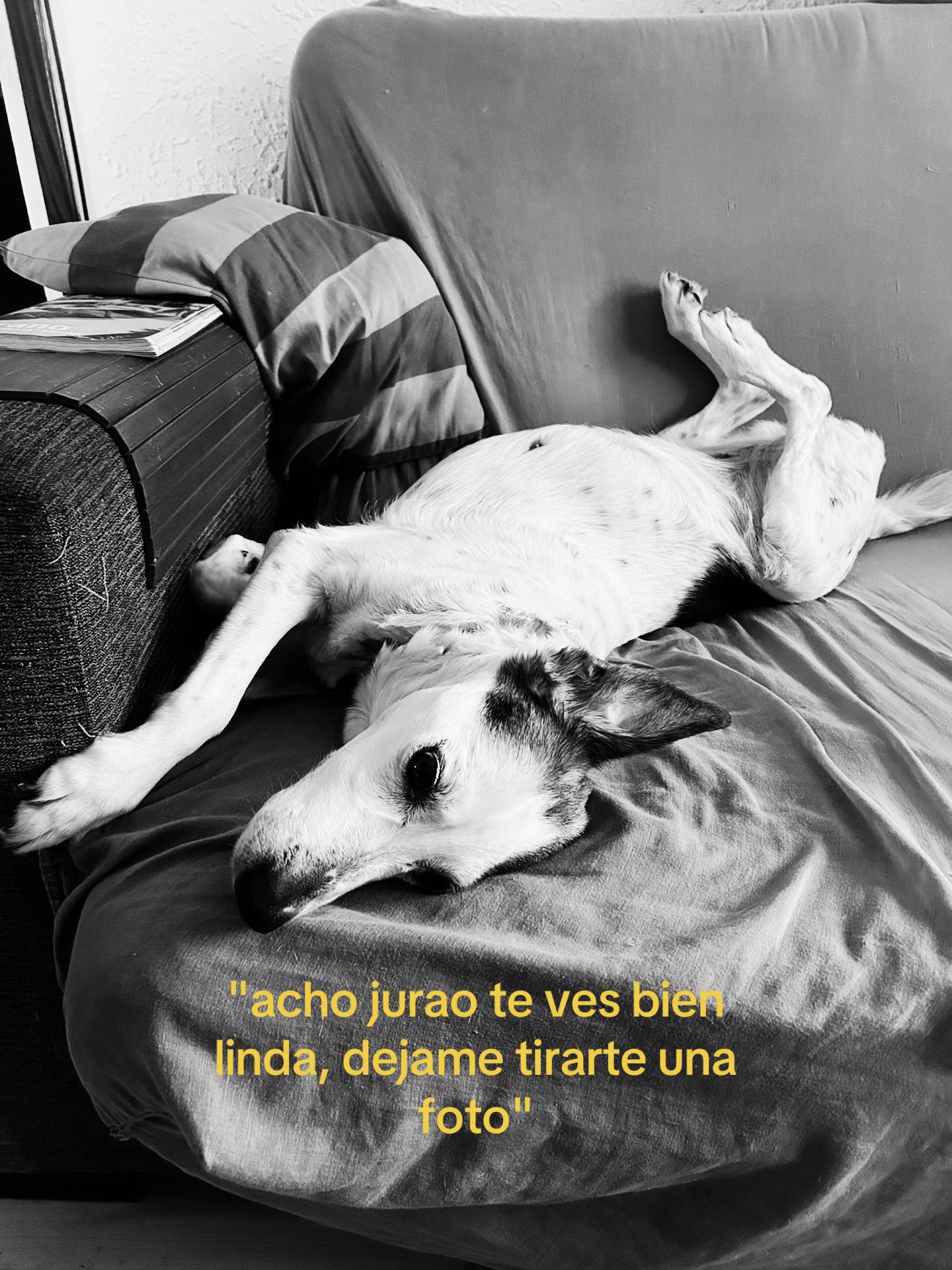 @Ari
