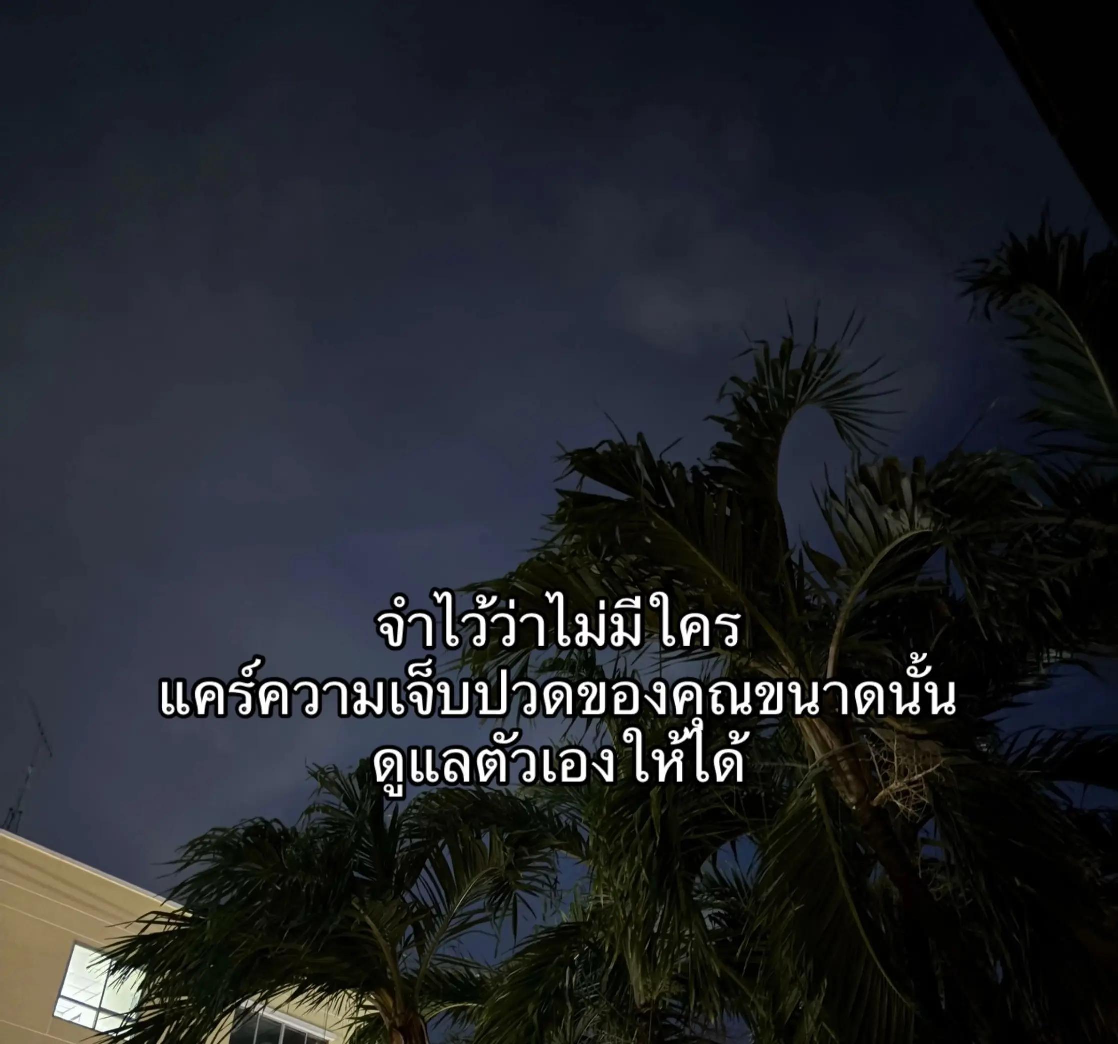 @🌱ใบเฟิร์นที่ชอบกินชาเย็น