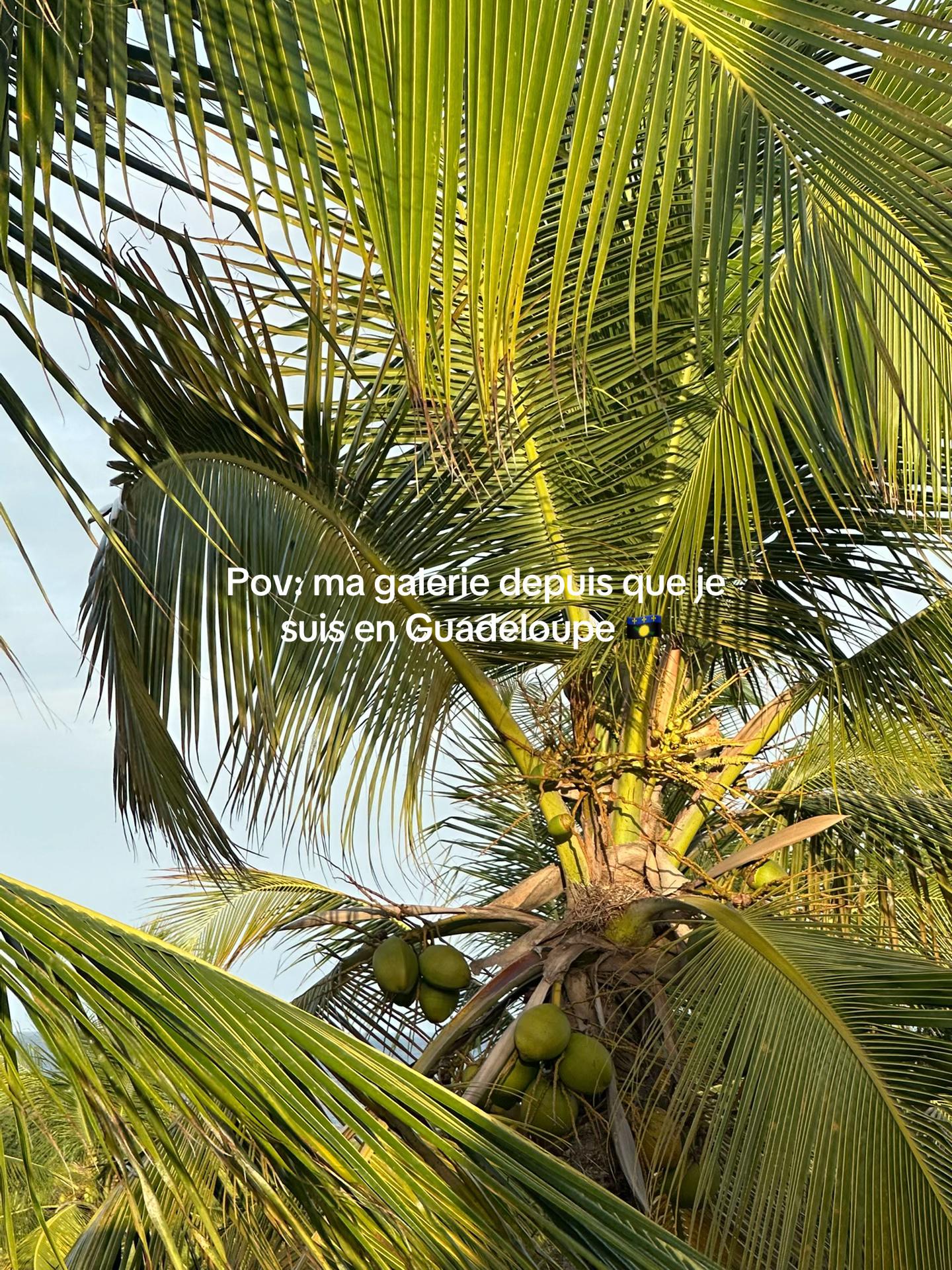 @𝙇𝙤𝙖𝙣𝙚