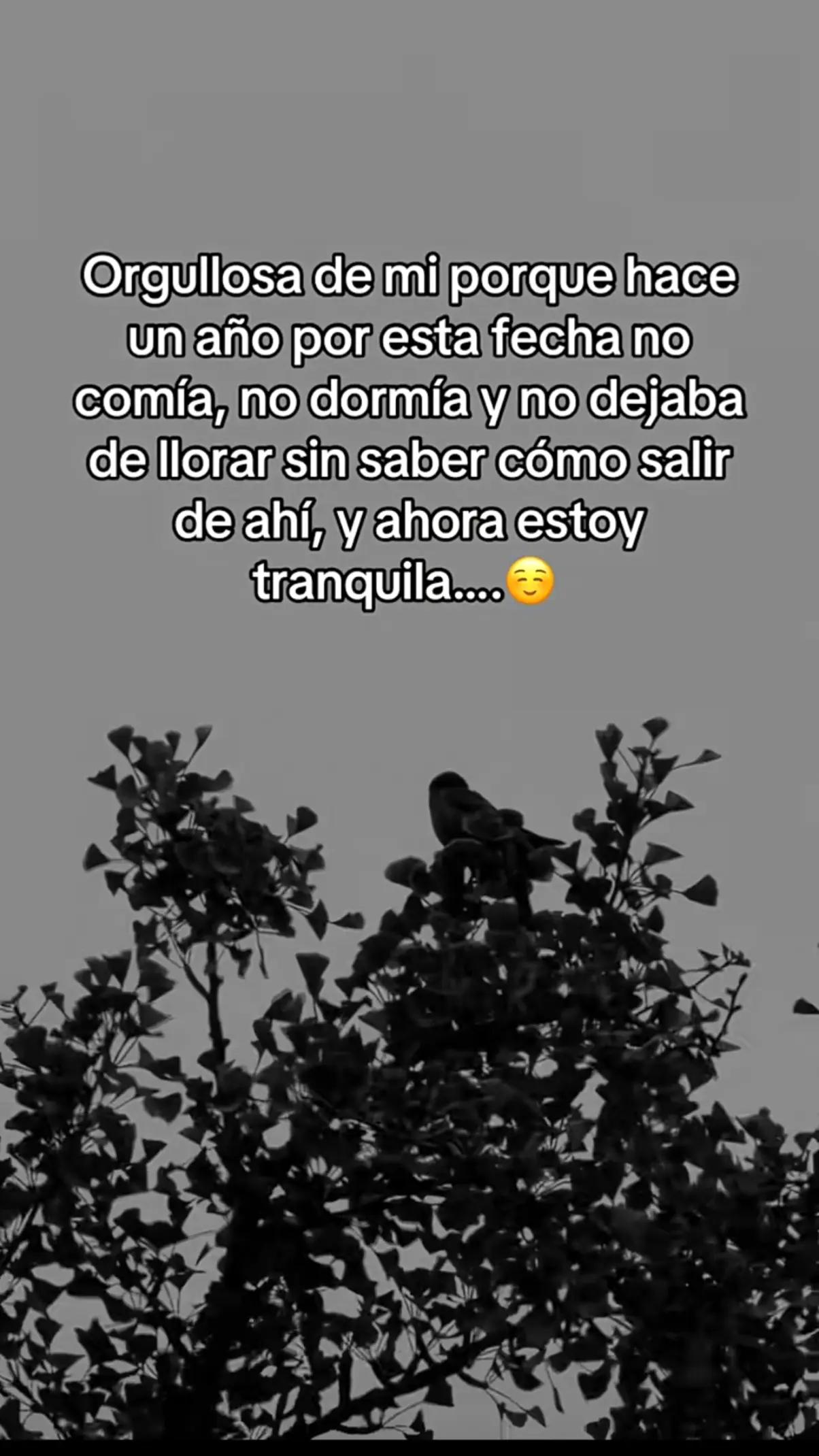 @🌻⚡♌