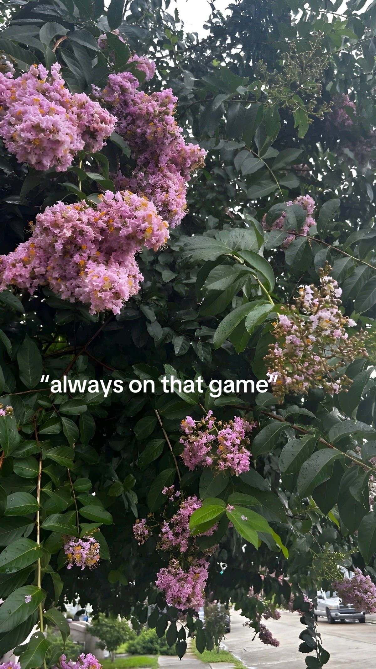 @brayden🍃