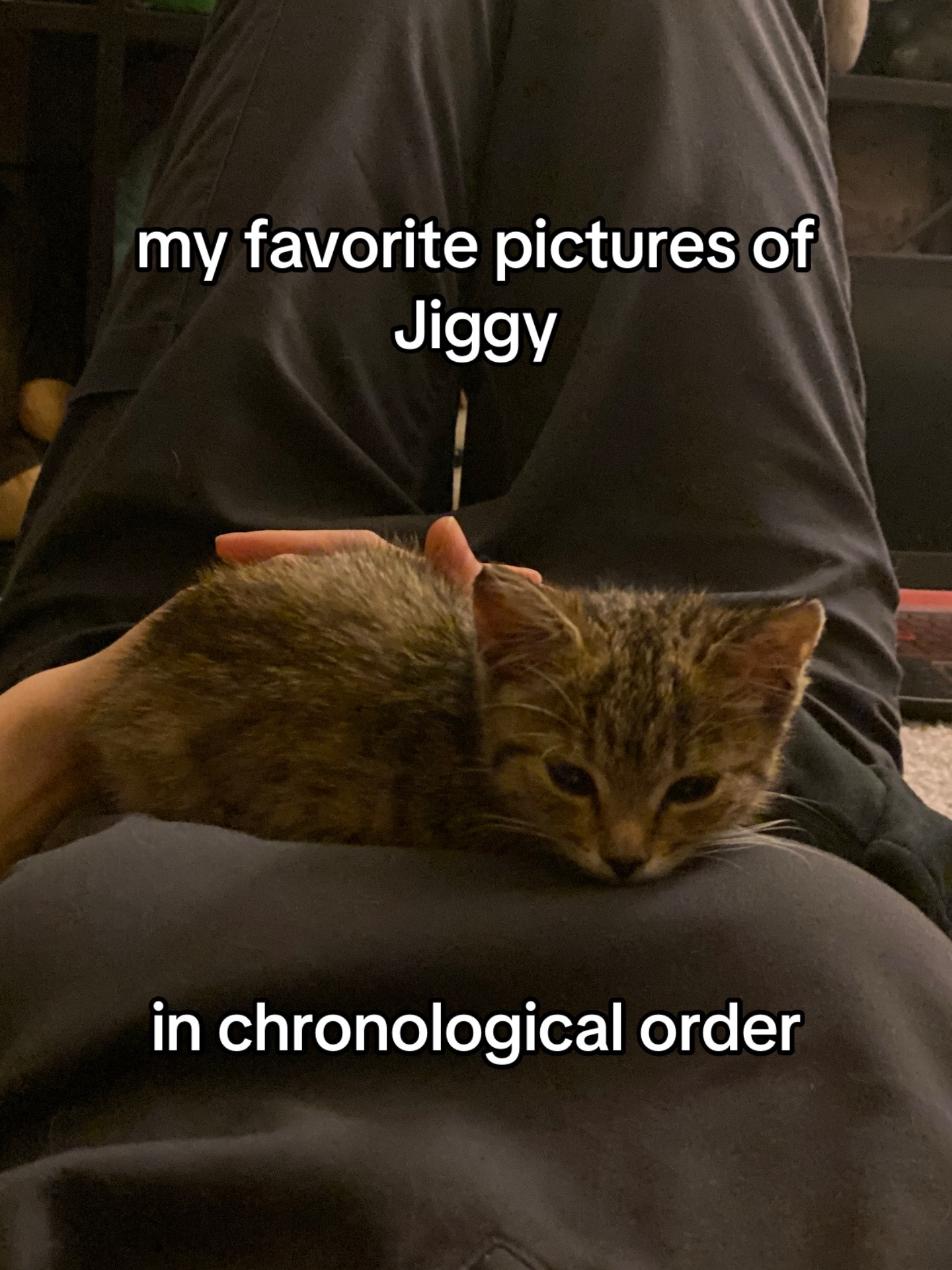 @𝓜𝓮𝓵𝓸𝓭𝔂 & 𝓙𝓲𝓰𝓰𝔂