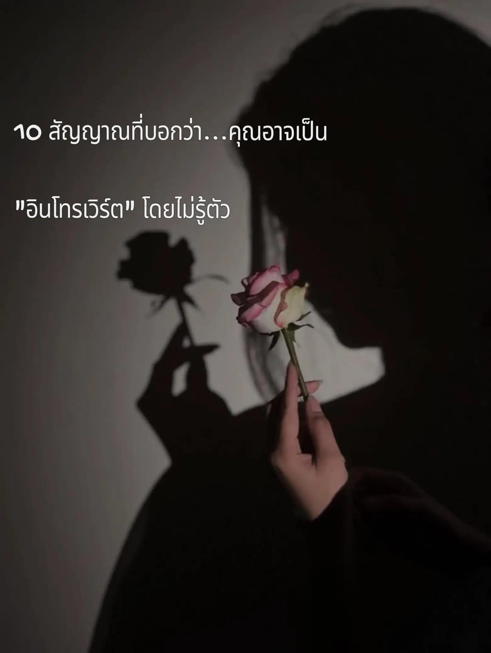 @aom.sutitsa
