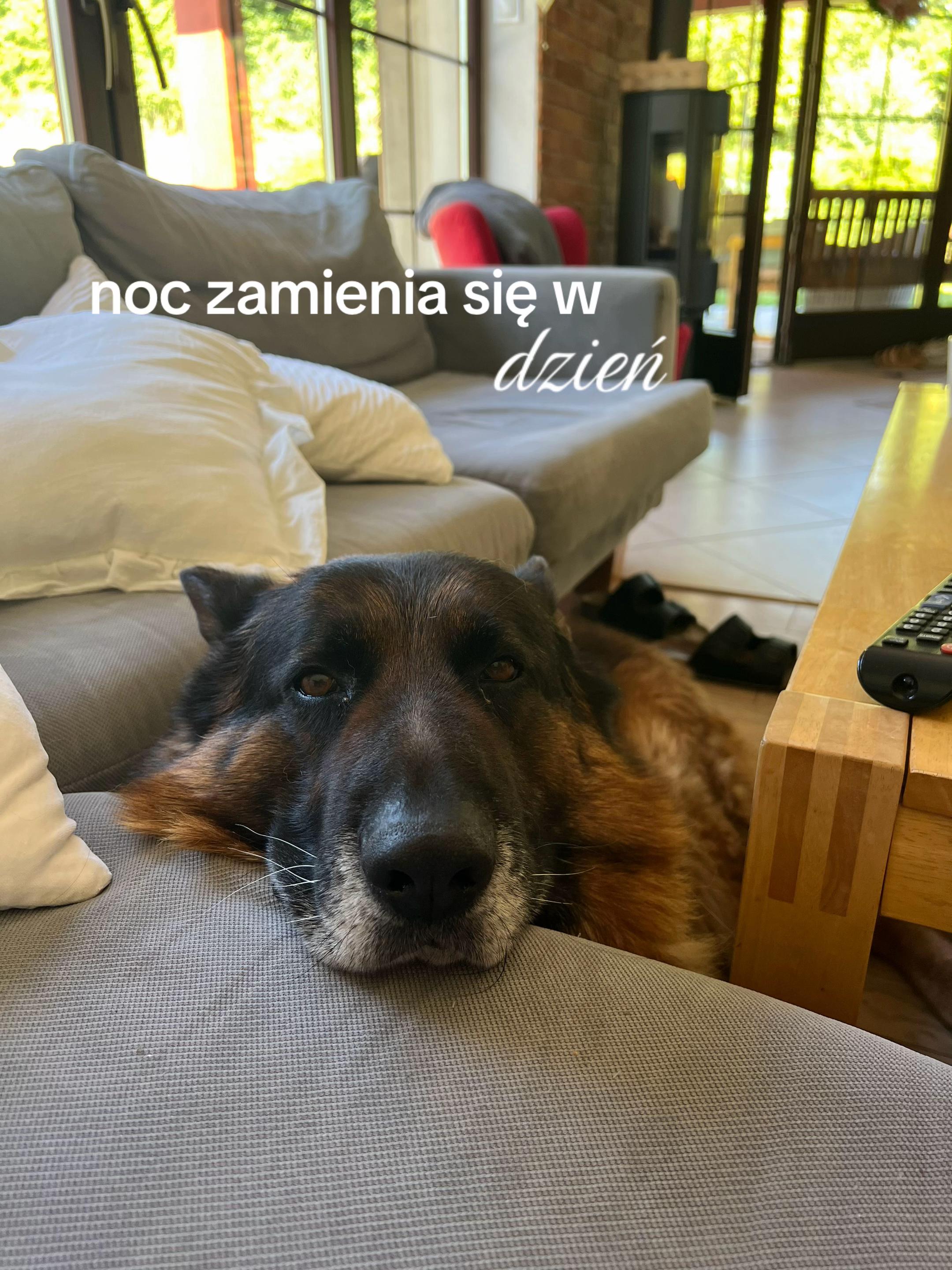 @Weronika Staroń