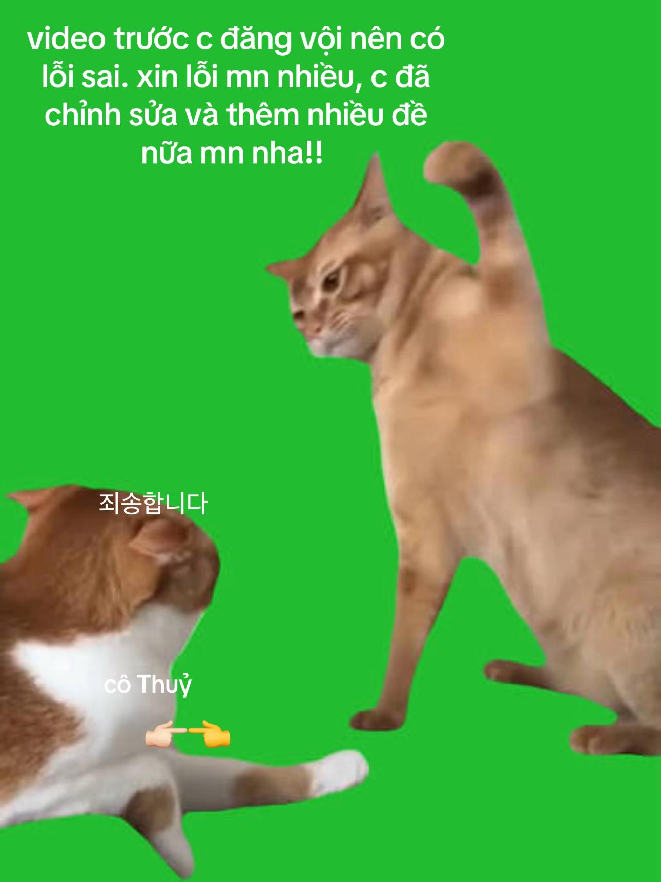 @HaThuThuy97