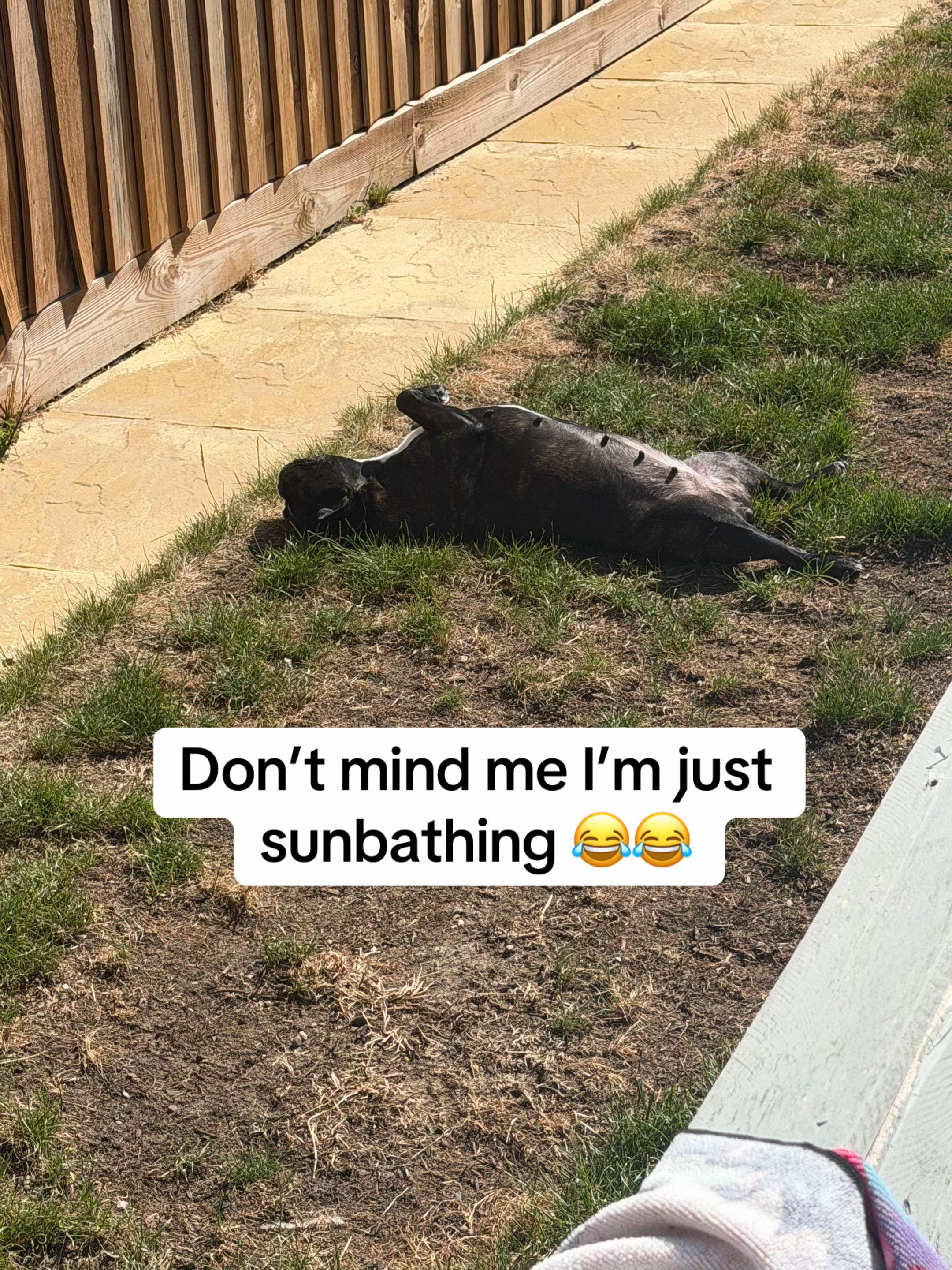 @lucie