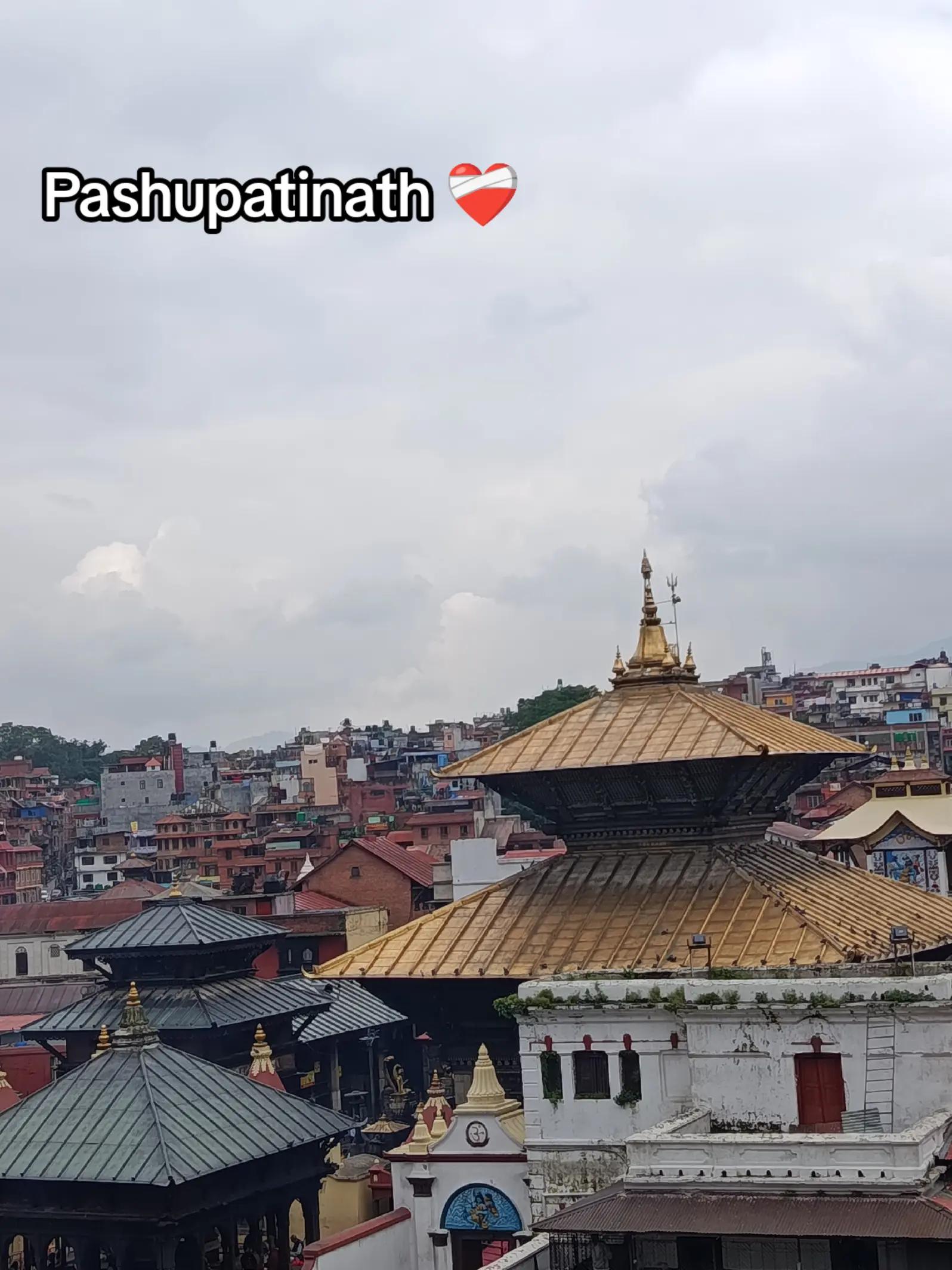 @Mr.Kushwaha9760