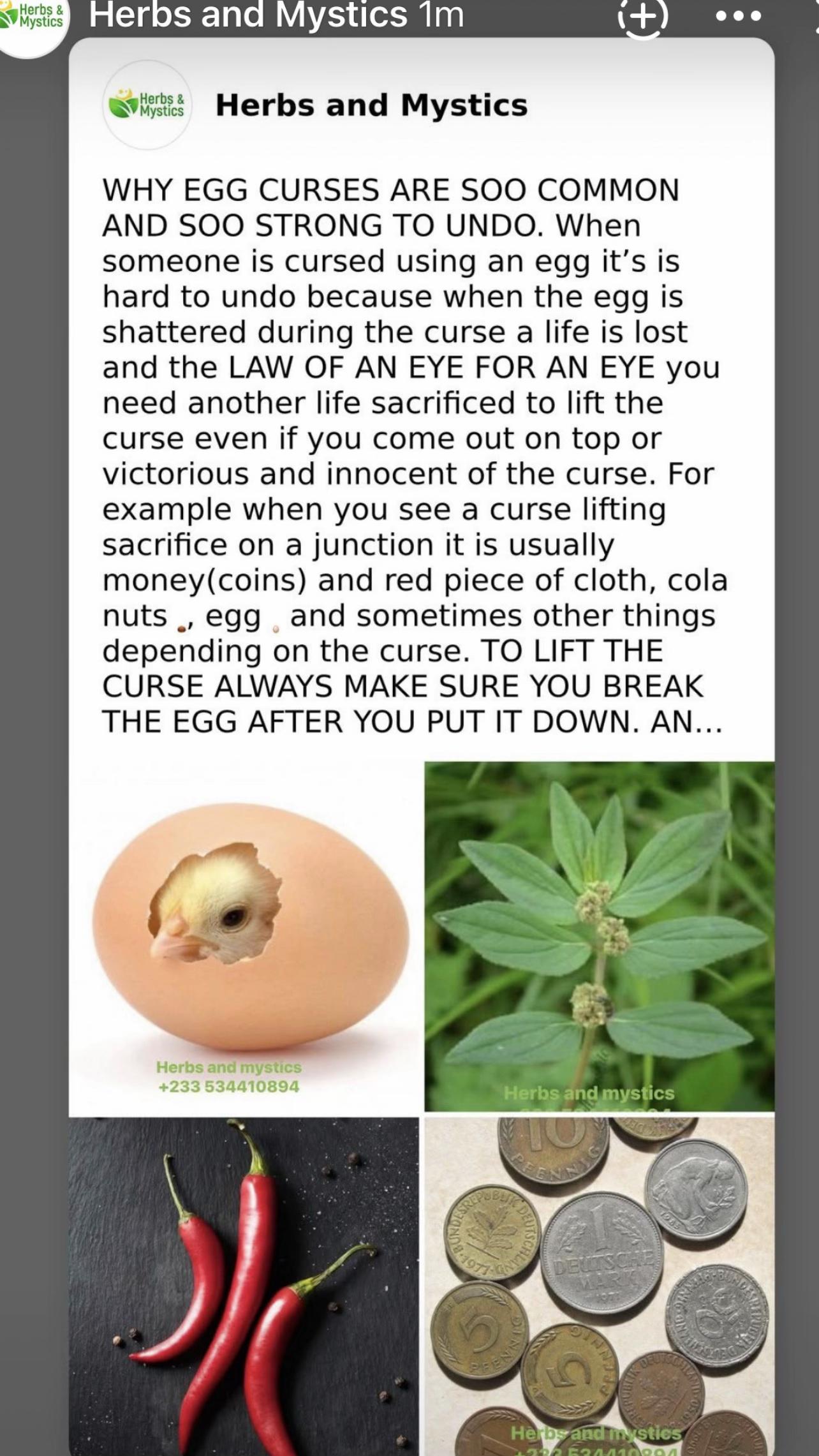 @Herbs And Mystics