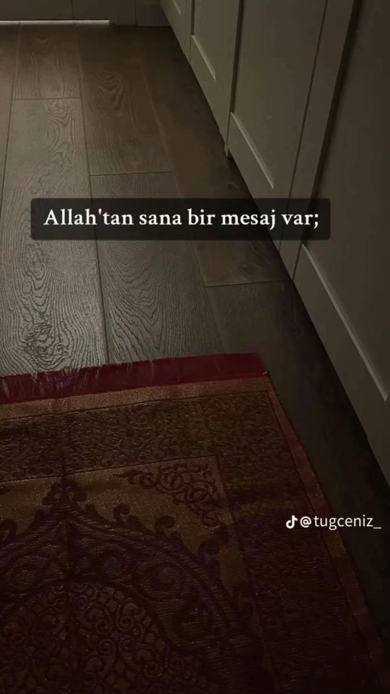 @🕊️