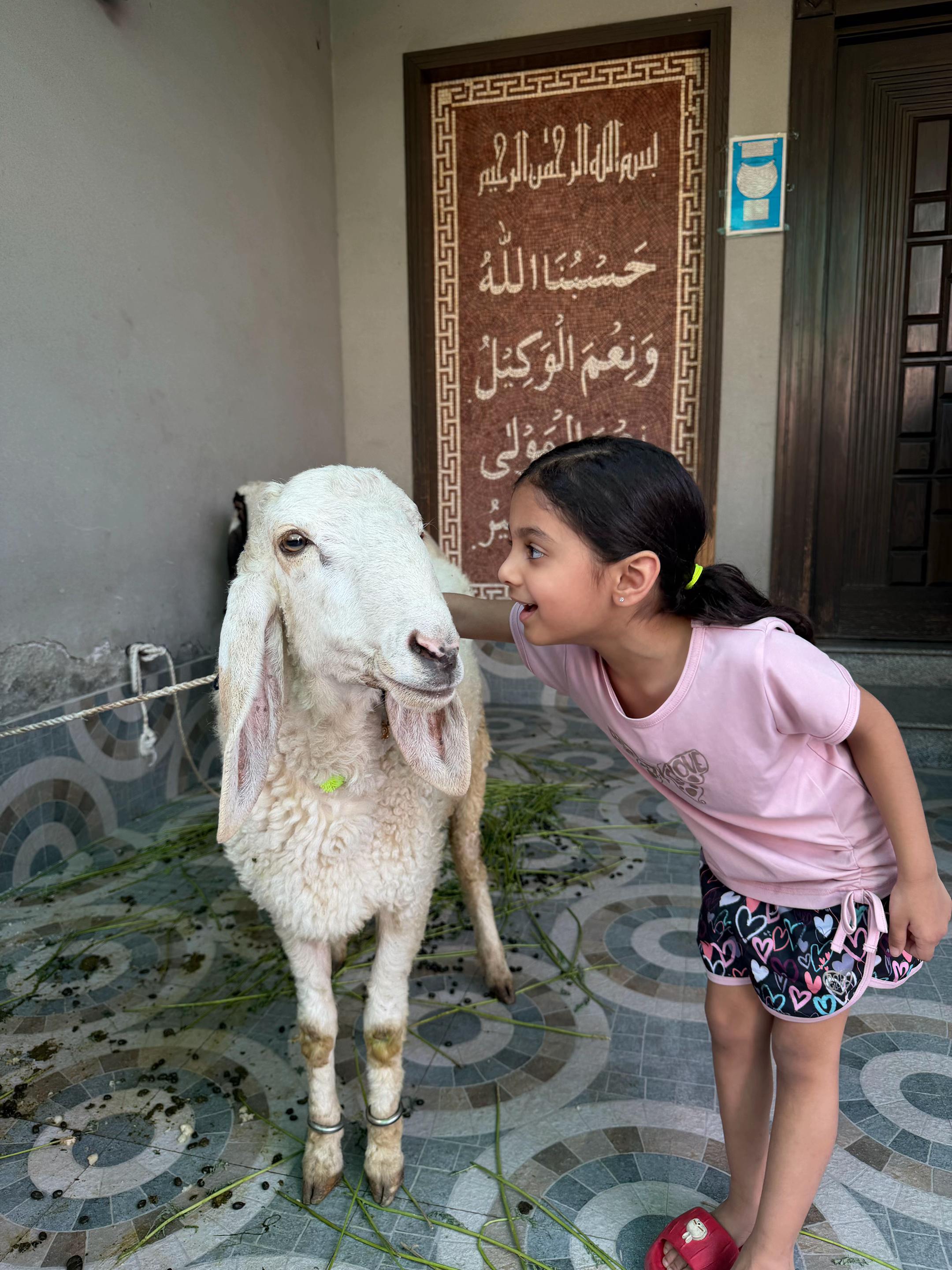 @Qamar Rajjpoot
