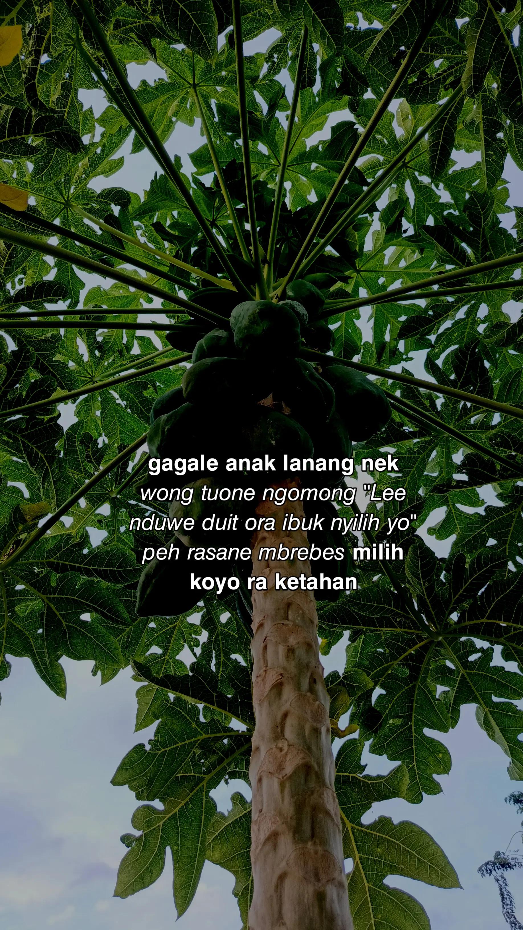 @𝗬𝗼𝘄𝗲𝘀 𝗞𝗮𝗿𝗲𝗽𝗺𝘂